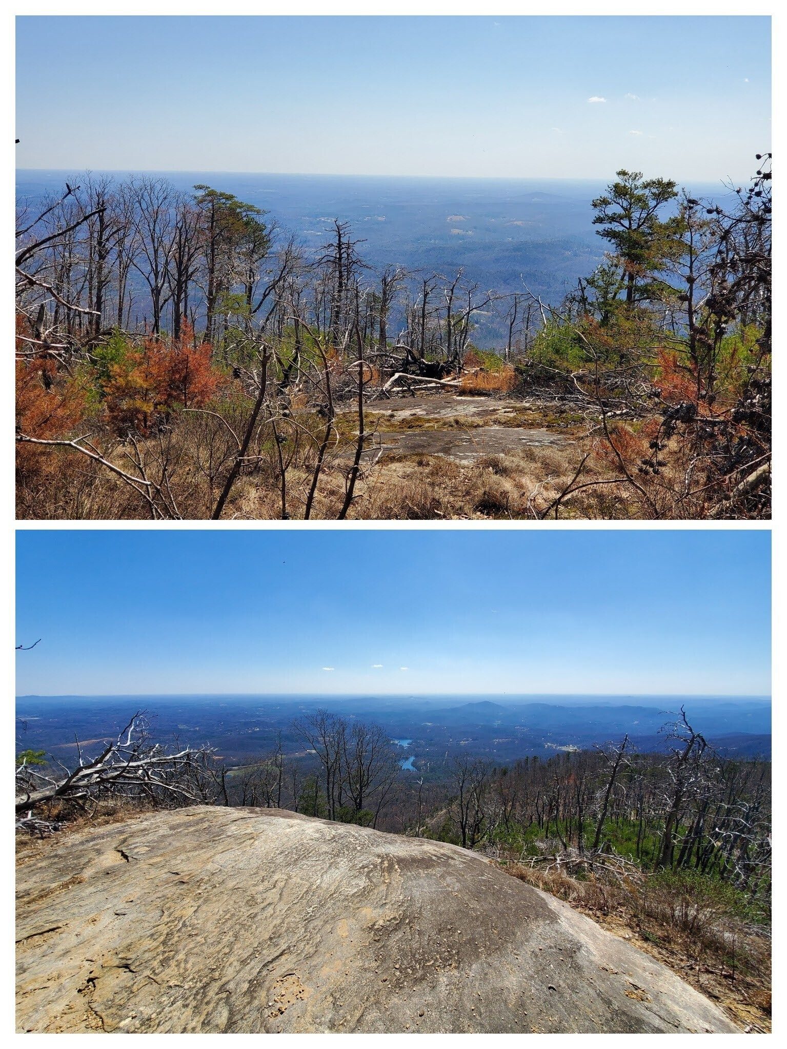 The weather appears to have taken its toll on these small pines up the trail from Governor's Rock.