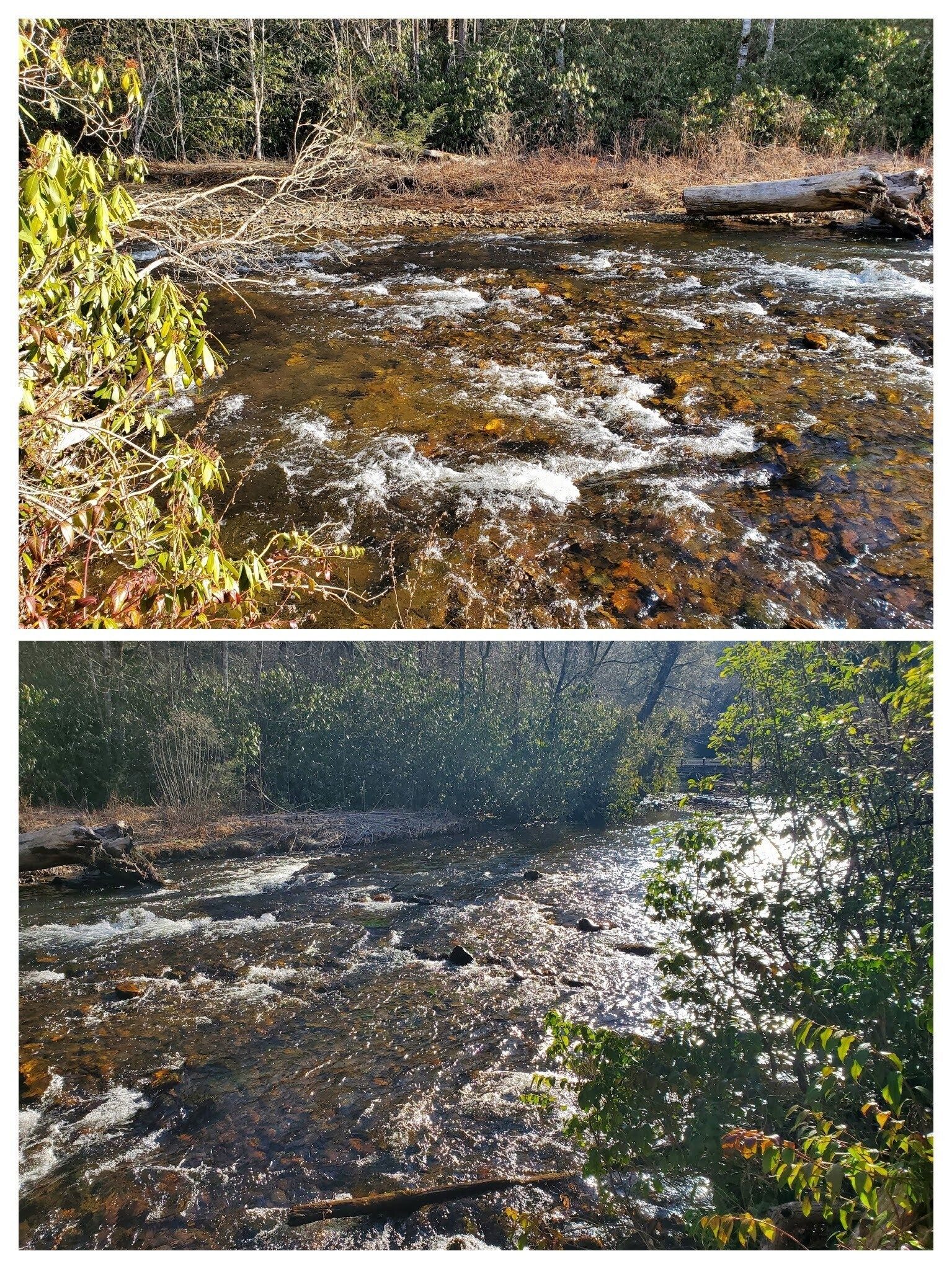 These pics of the Nantahala River are more representative of the flow in this area.