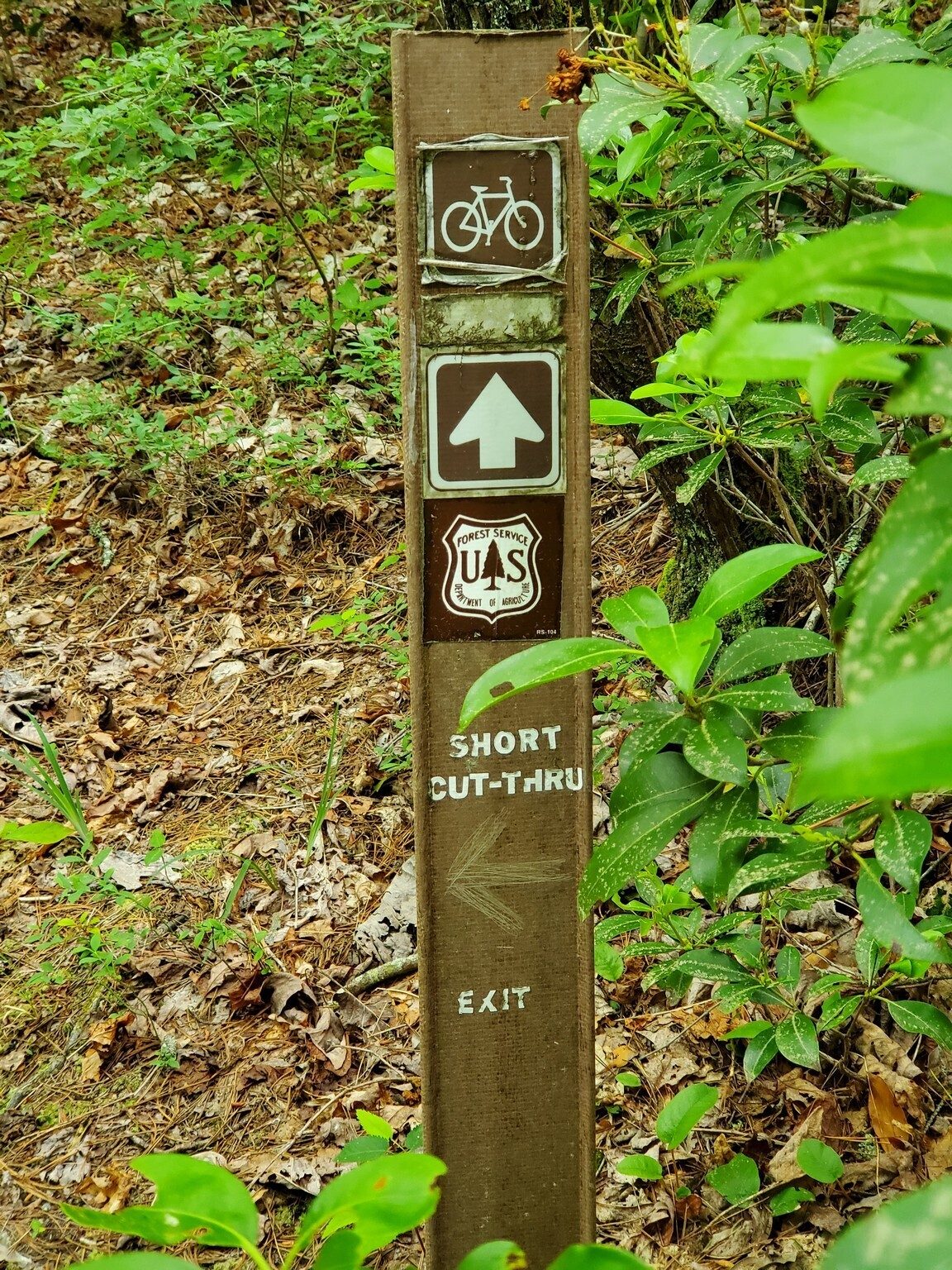 Don't miss that left turn unless you want to make this a  10-miler.
