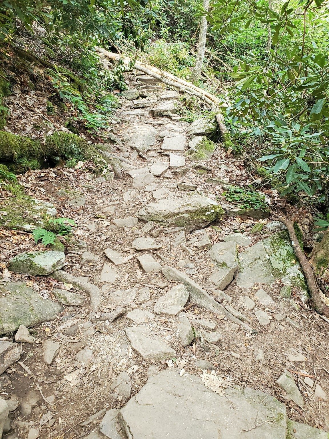 A bit of a rock climb from the Blue Hole Falls.  This is also representative of other sections of the trail.