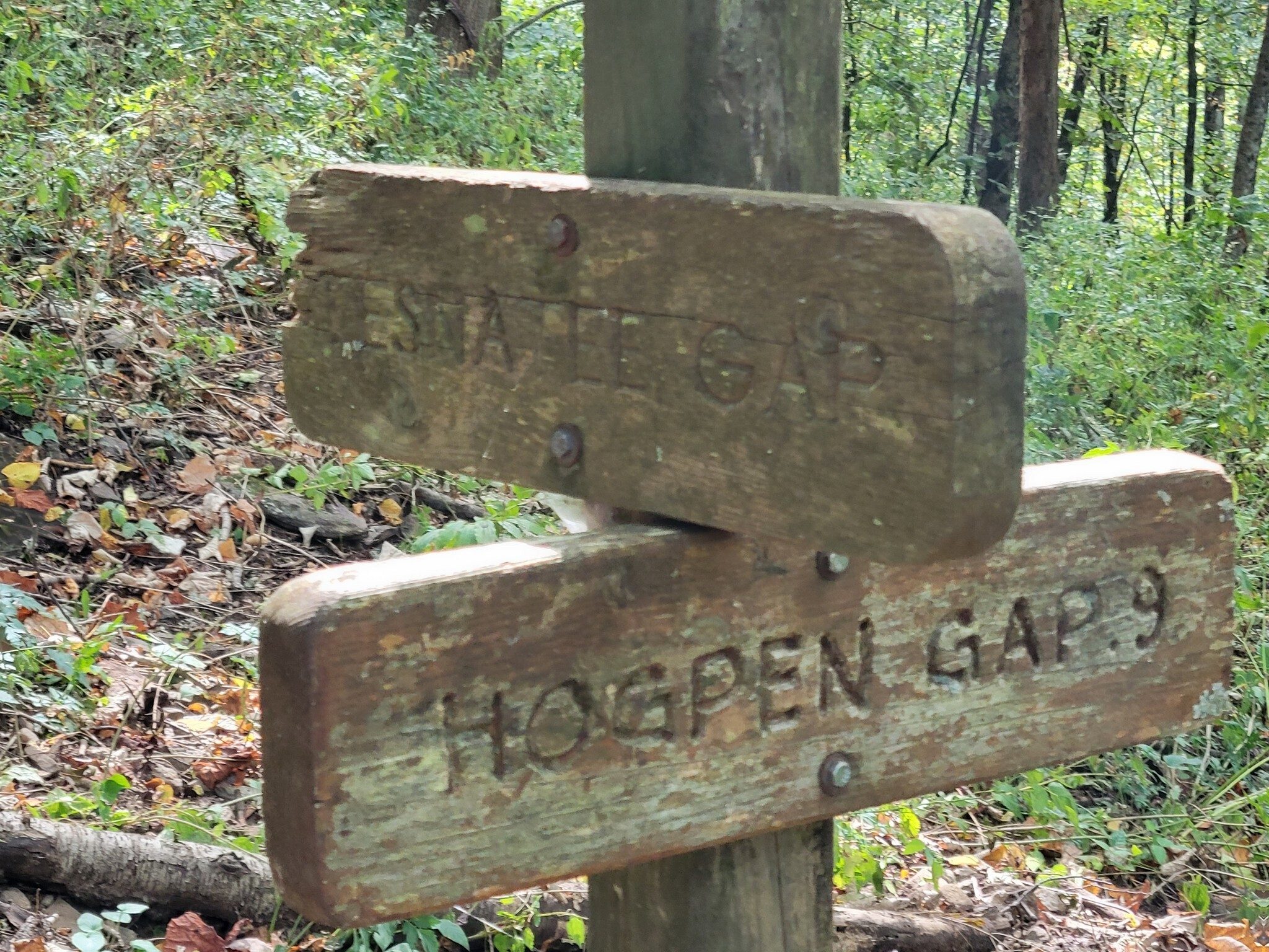 Signage at Tesnatee Gap as we start our climb up Wildcat Mtn.