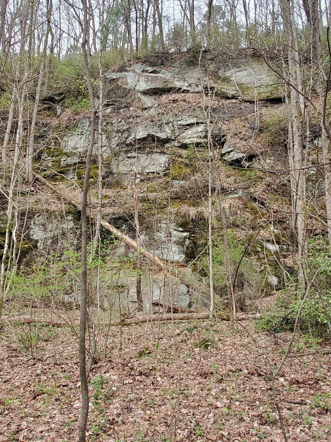 An interesting large rock formation just off a switchback.