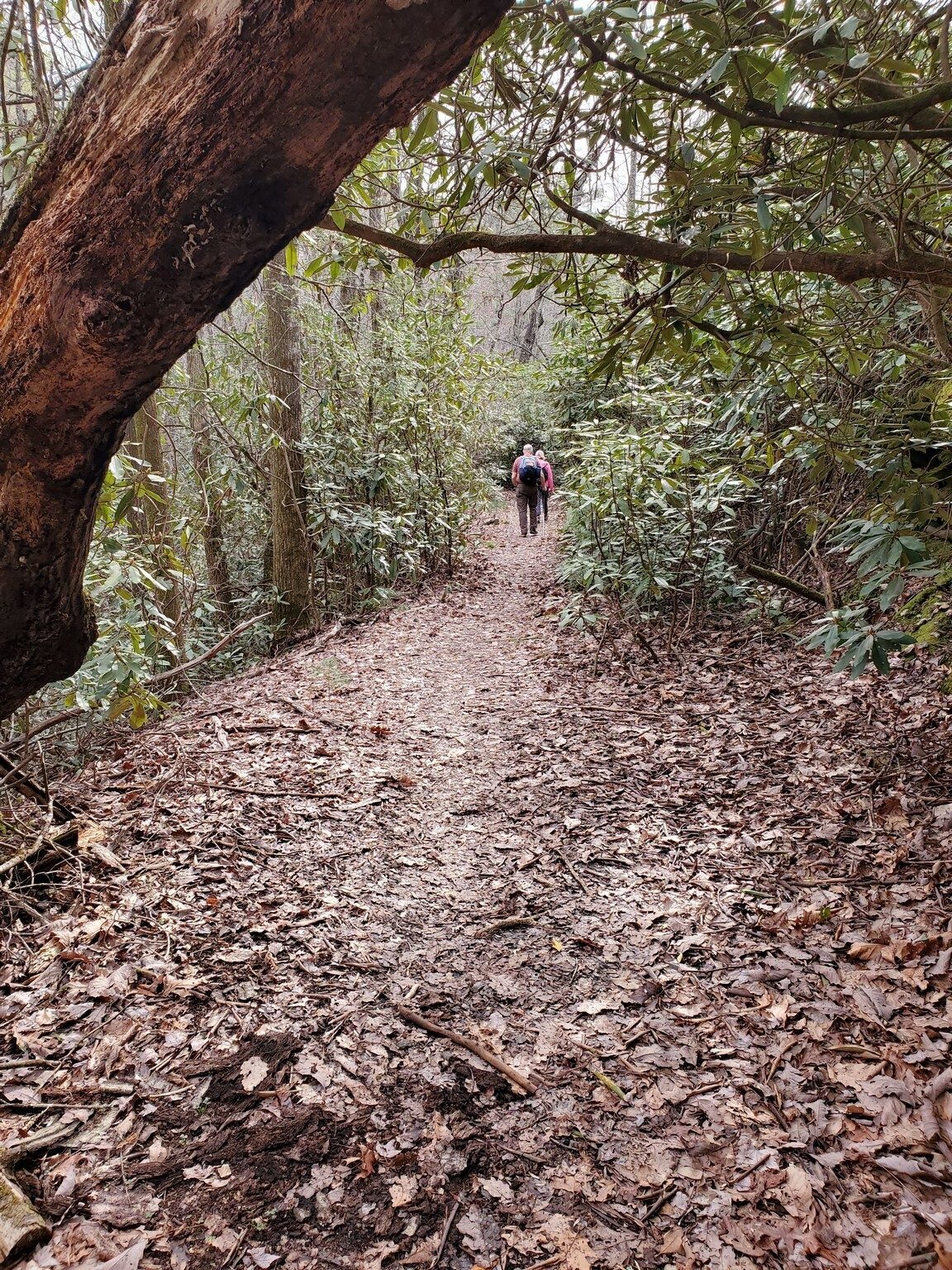 Nice trails too!