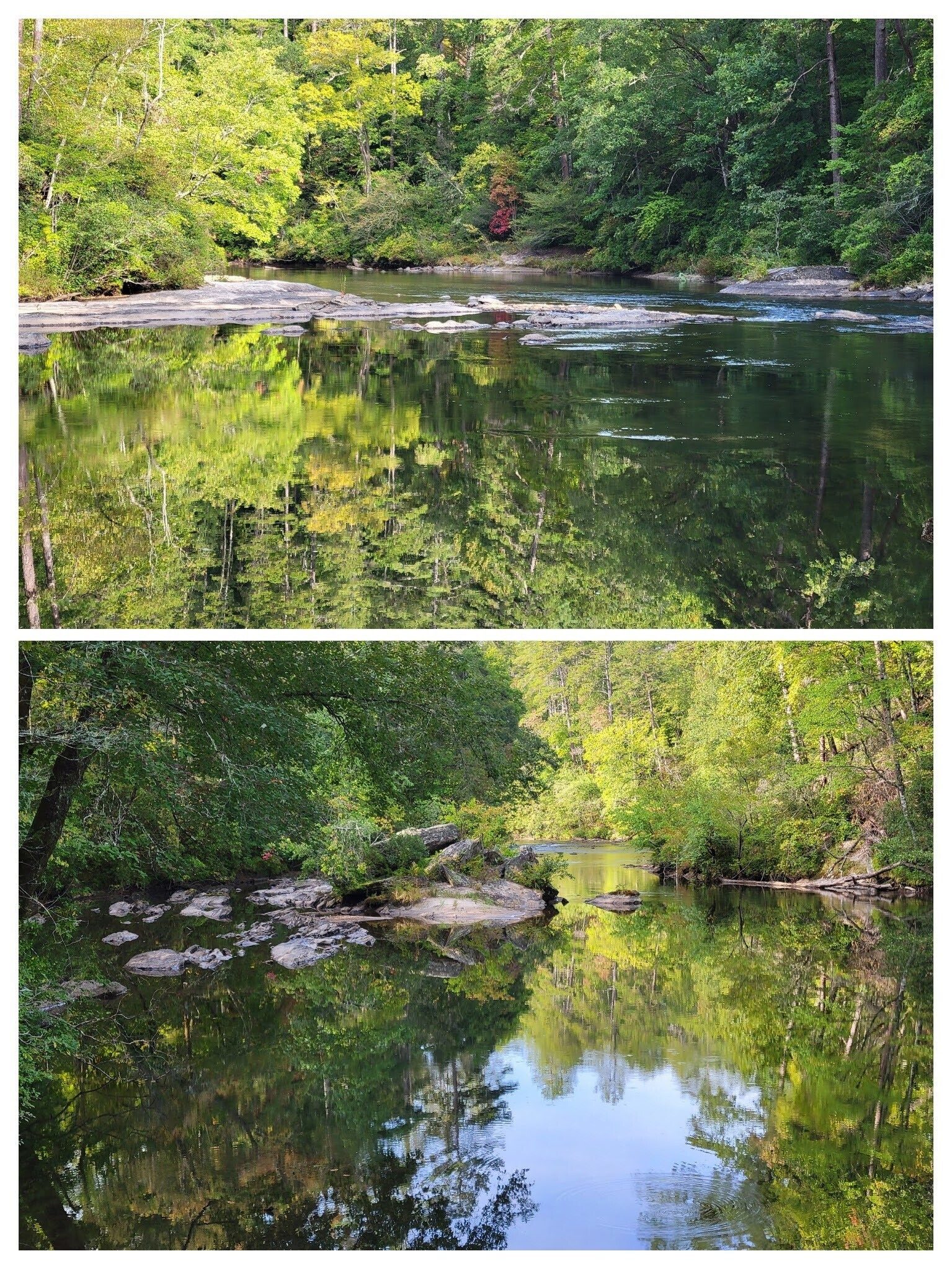 You've got to love the Chattooga River here with great reflections this morning!