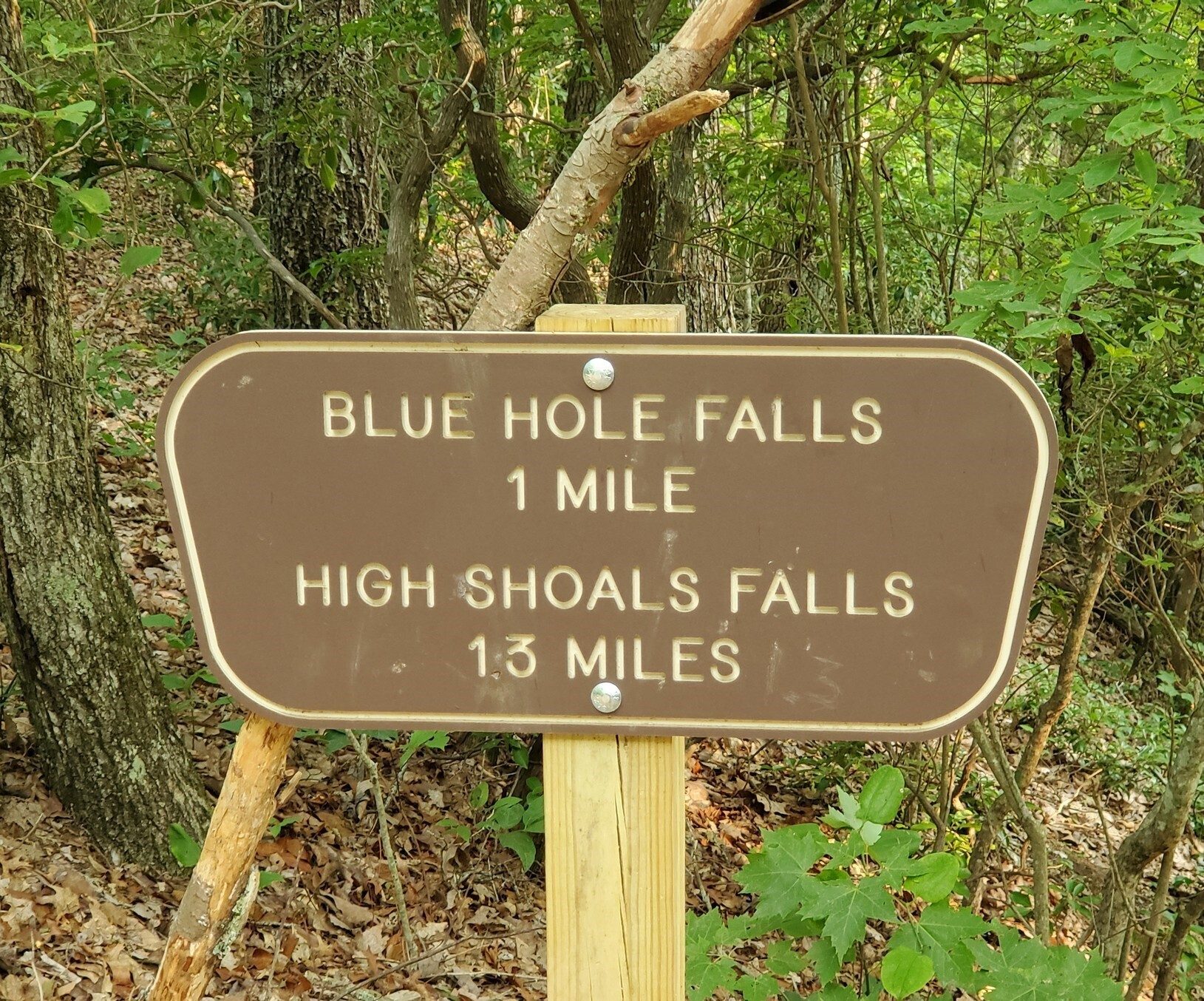 Our start on a fairly short hike.