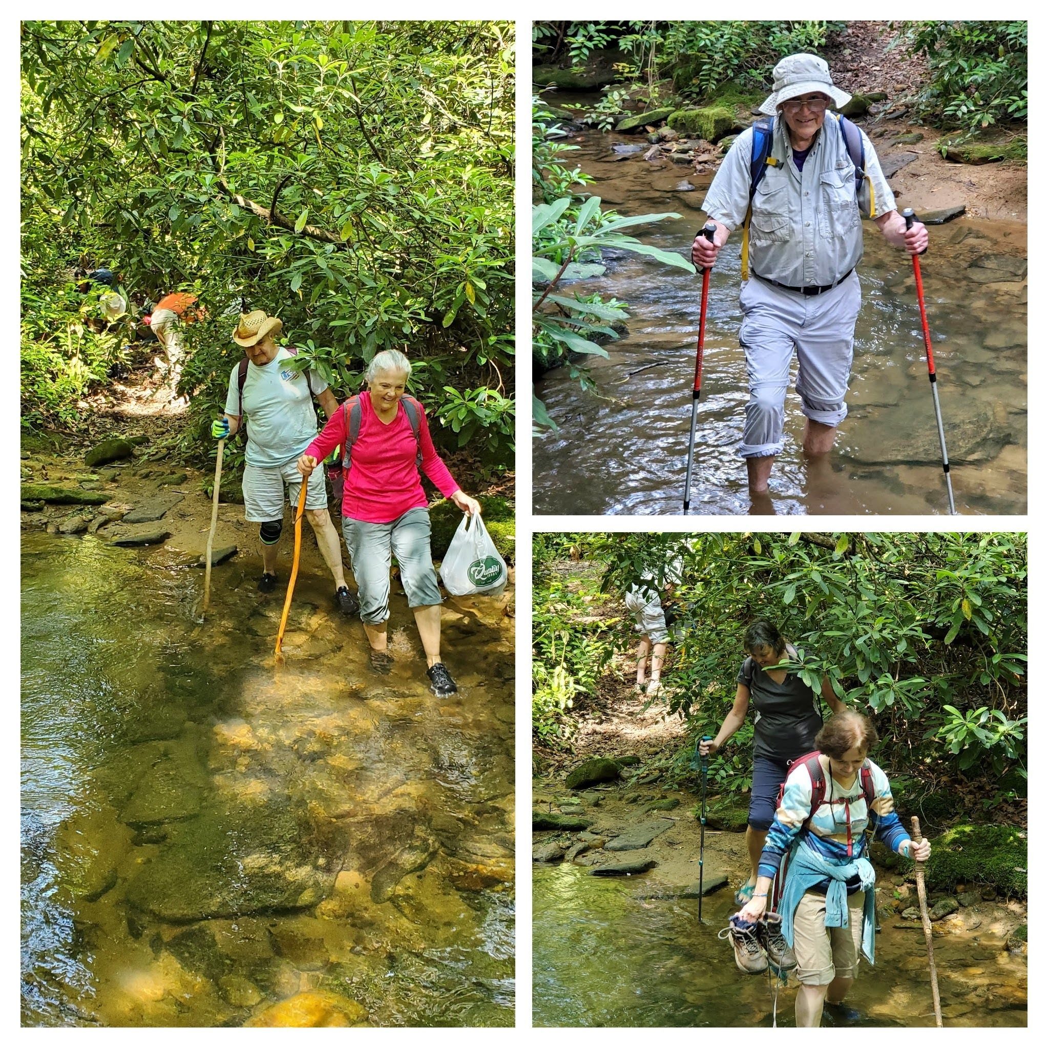 Other stream crossers.