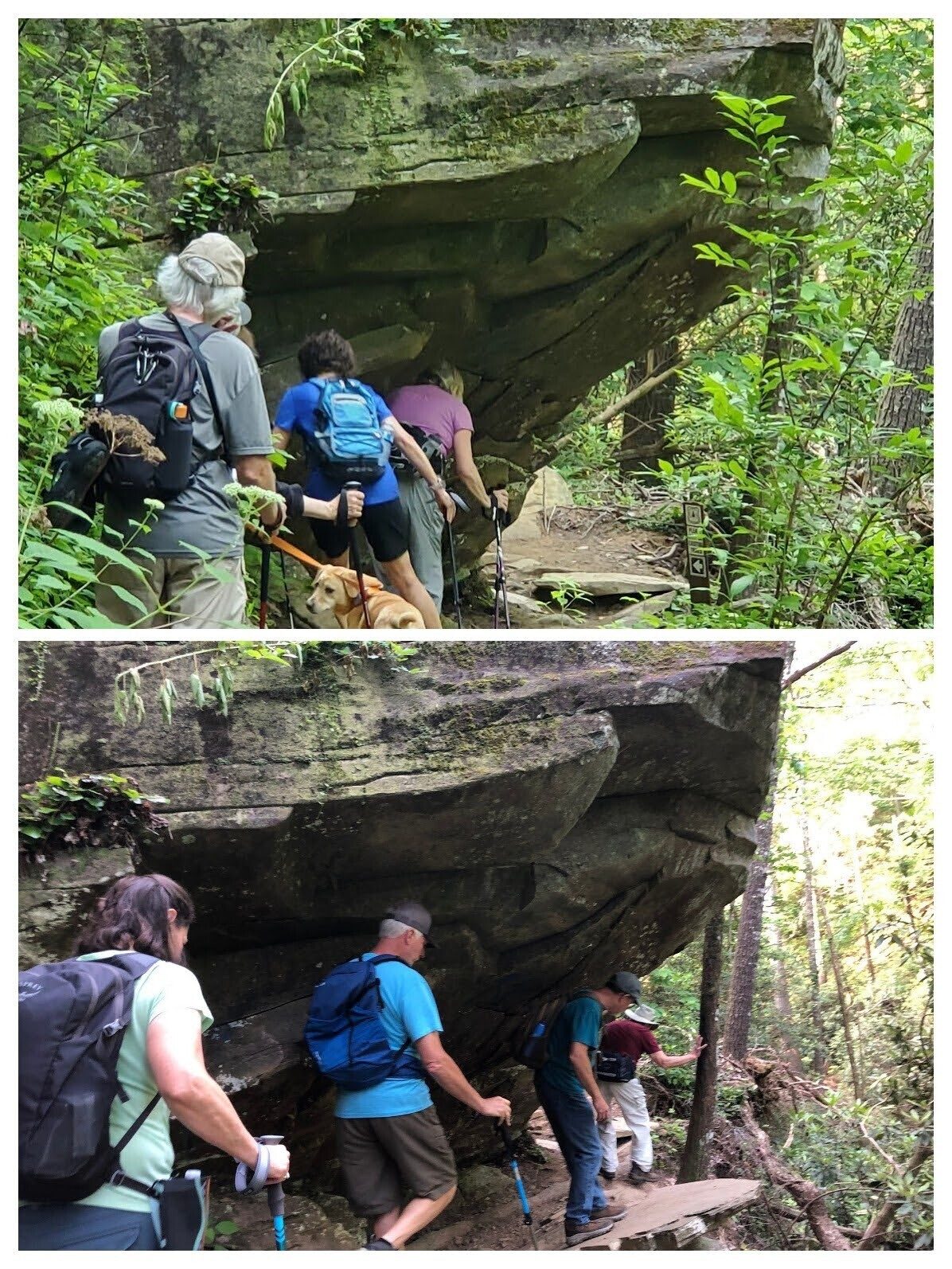 A rocky ledge to pass under near the start.