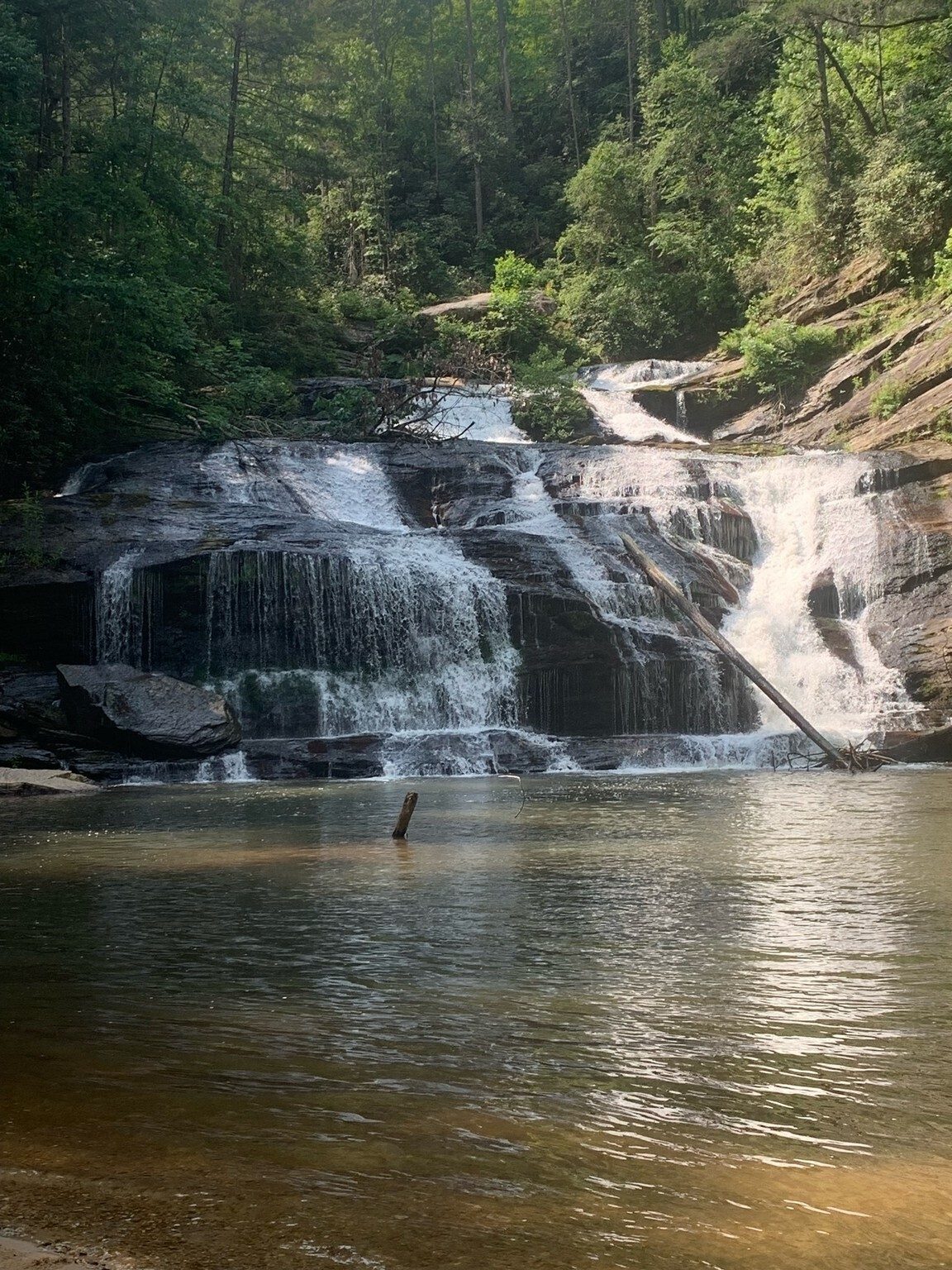 The view of the Panther Creek Falls Rich was photographing in the lead hike photo.