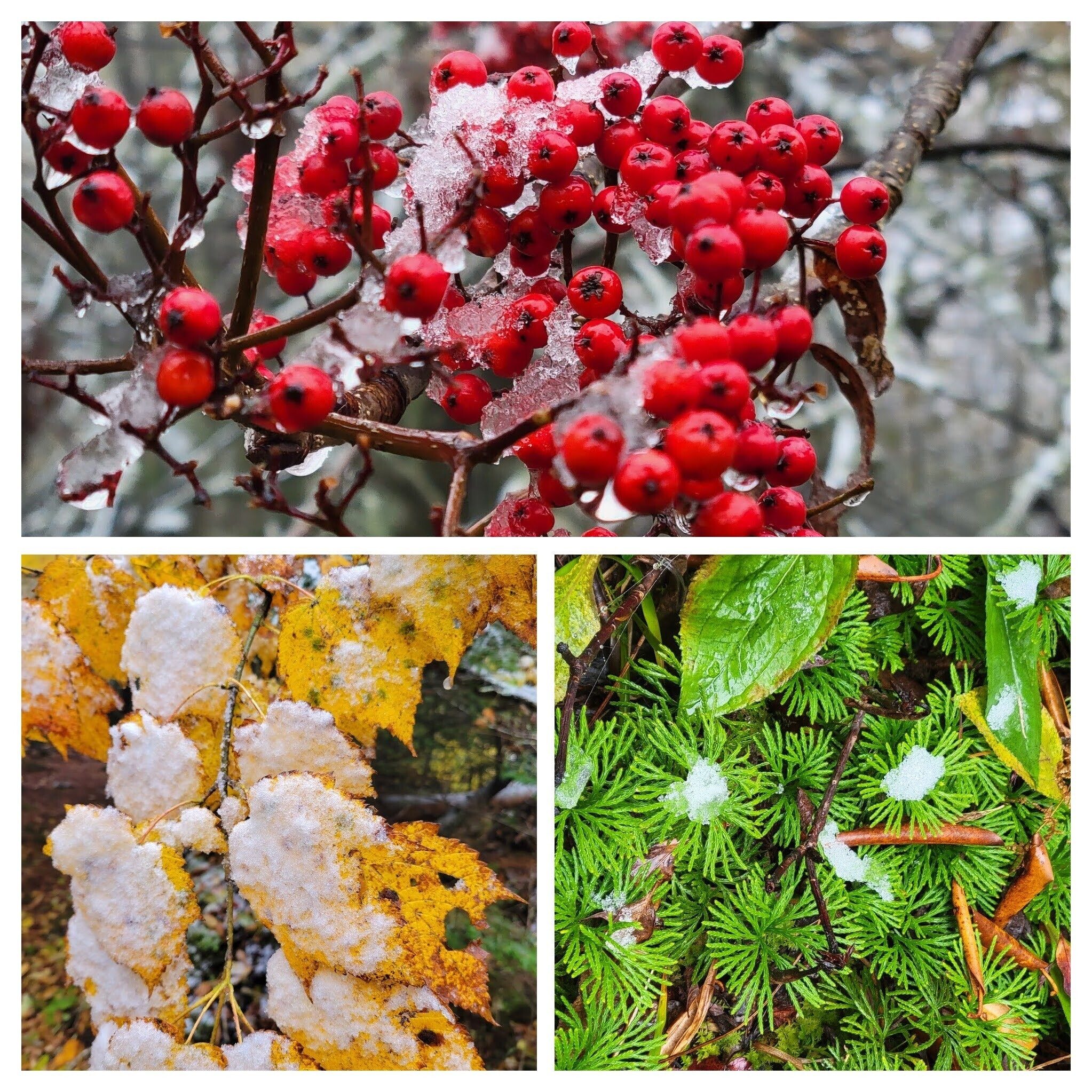It's icy and cold, but also very pretty.