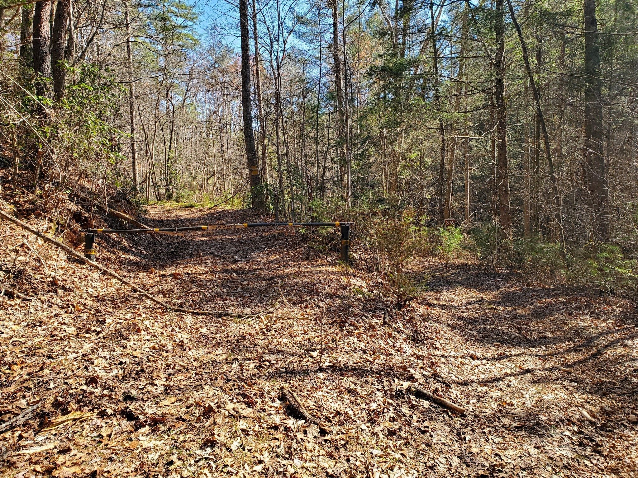 This is where FS 376 splits with FS 376A headed off to the right and forming a loop trail by Raper Mtn.