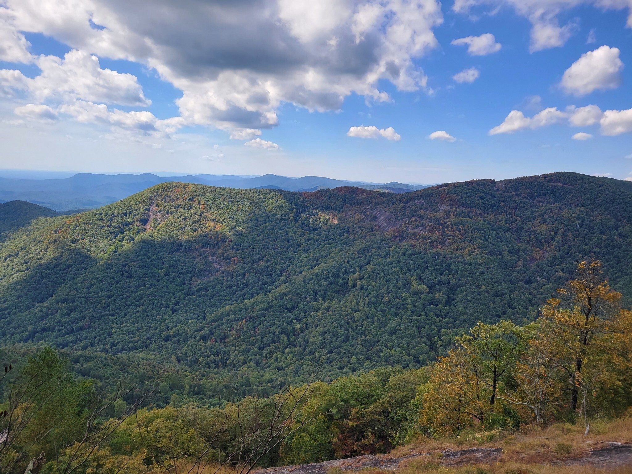 This beautiful view from the Whatley Gap Shelter Trail.  It was worth the extra two miles of this hike.