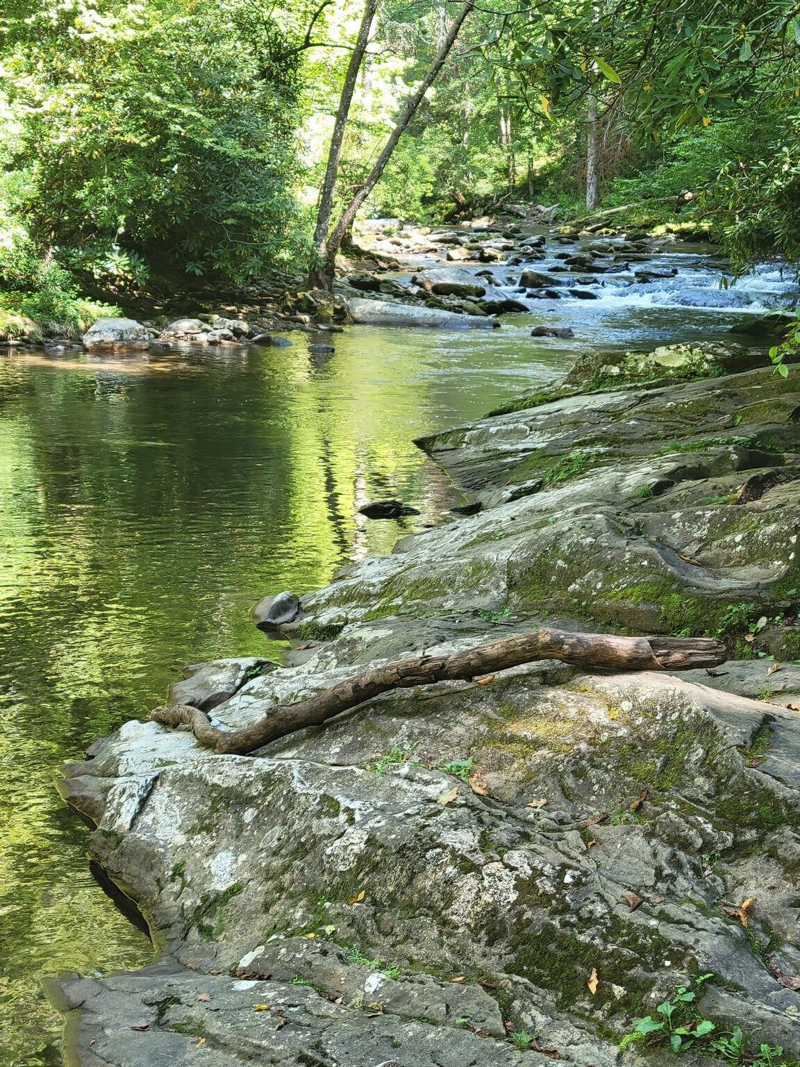 A more scenic view of Indian Creek just below Indian Creek Falls.