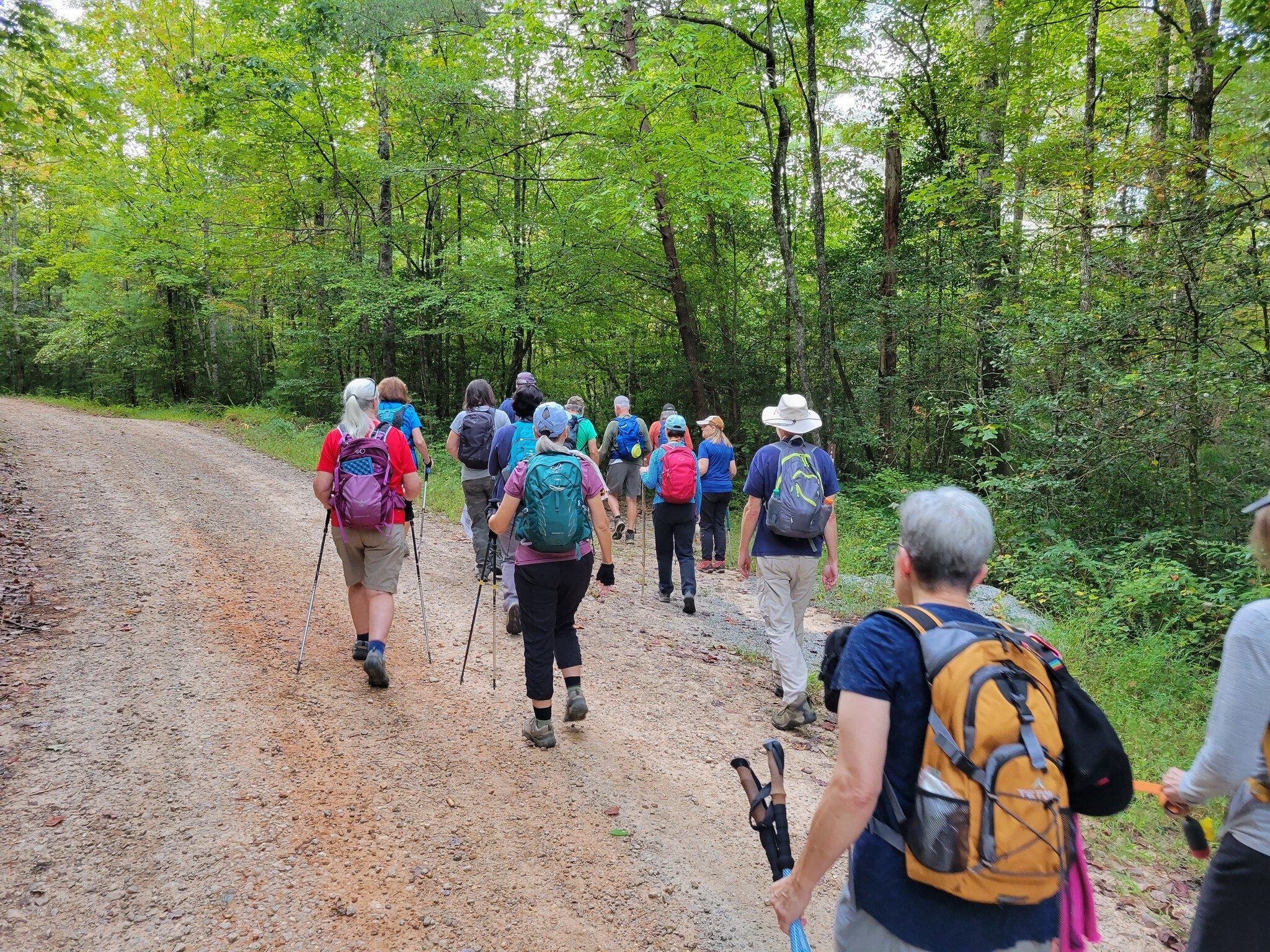 The trailhead is just up the road from parking along the side of Willis Knob Rd.