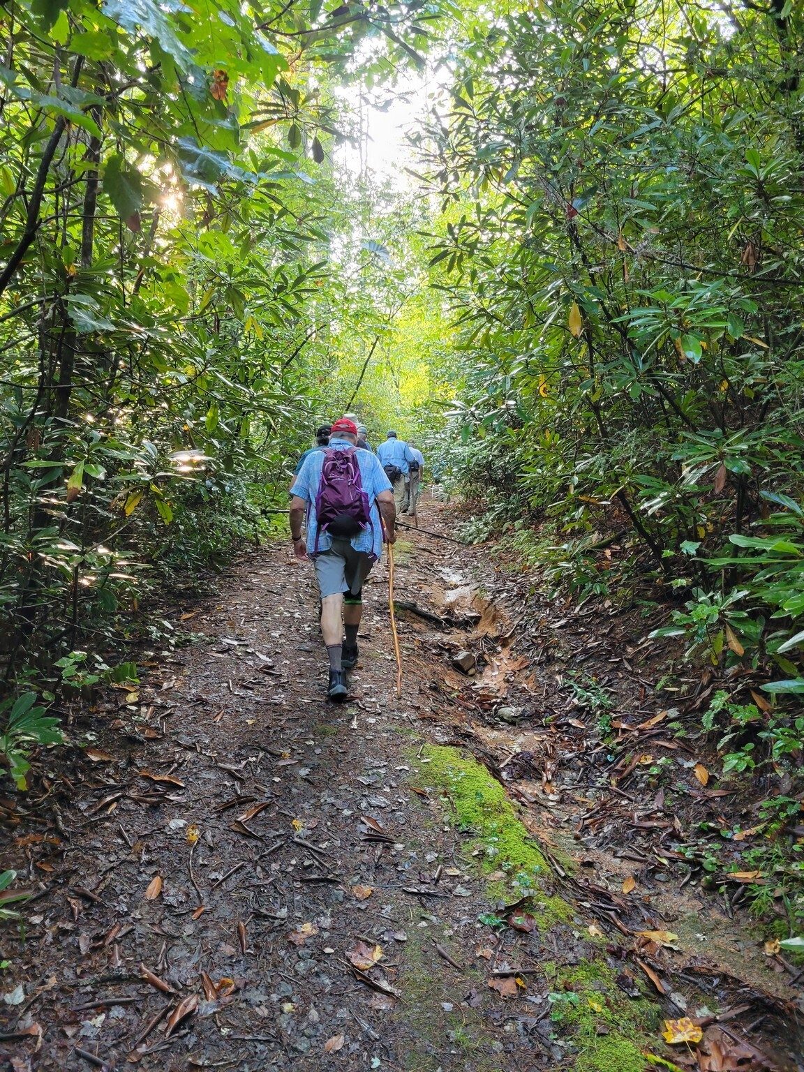 Headed up the trail, at this point just an old road bed.