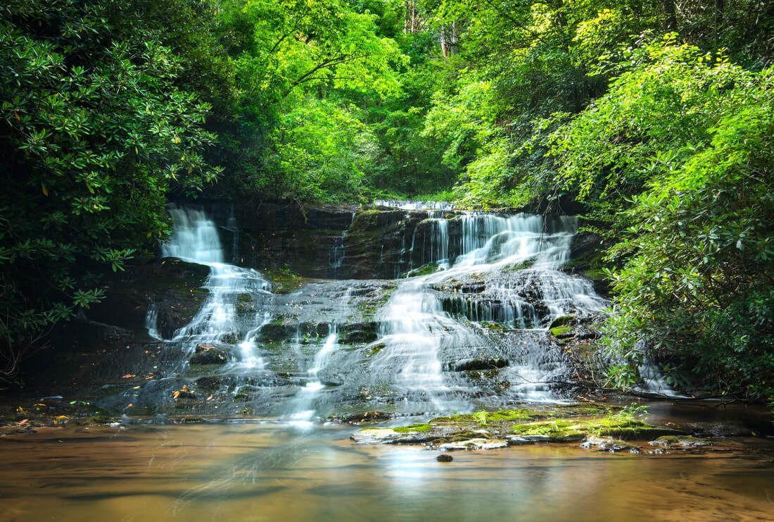 This is Yonah Preserve Falls, just a short distance up Turner Creek.  Next time! Photo courtesy of Mark Oleg.