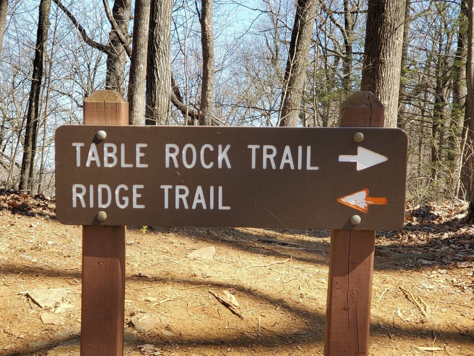 Turning northeast at Panther Gap for the final ascent to Table Rock Mountain summit.