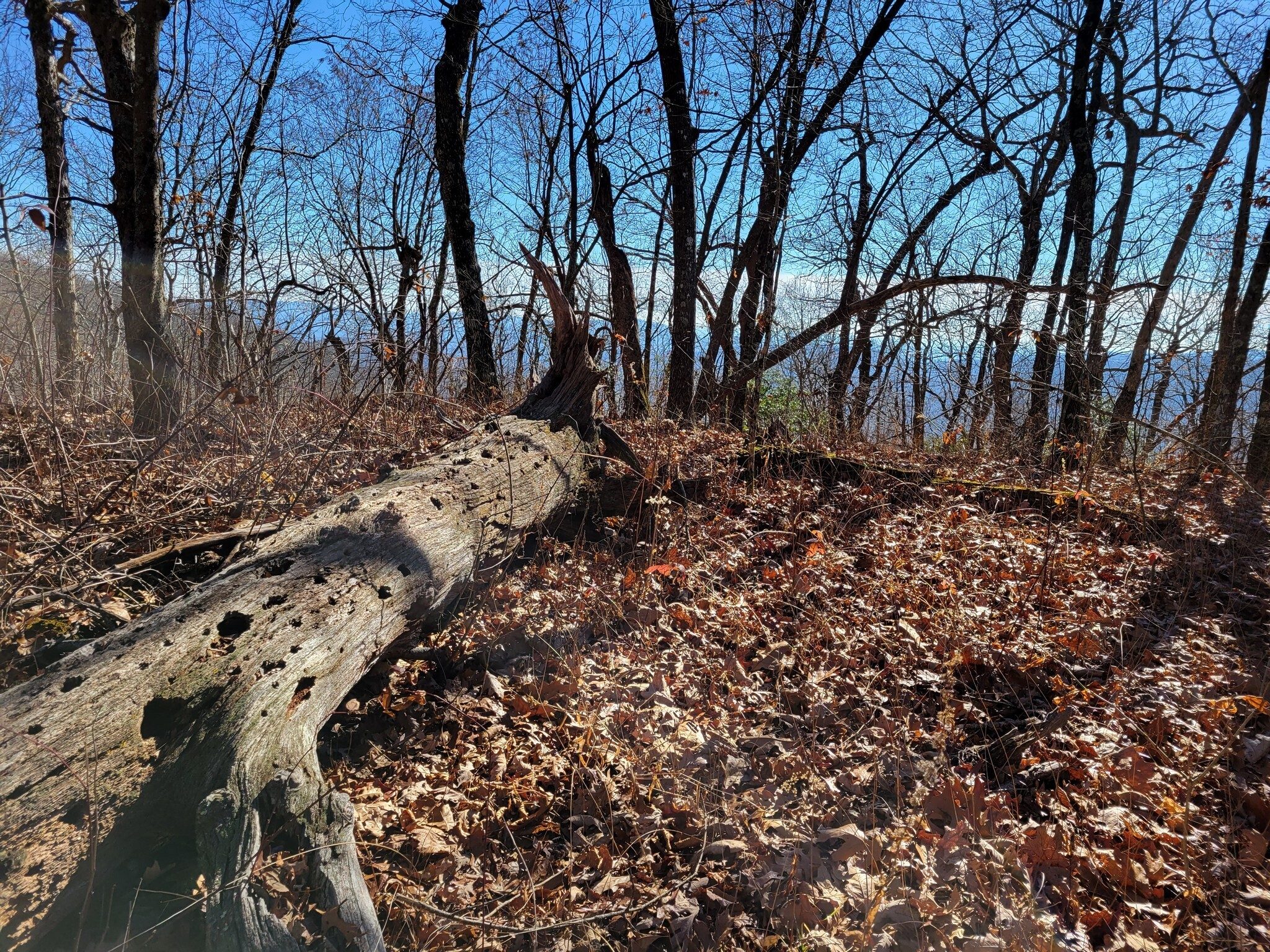 One of the many passing views easily missed when you keep looking at the trail most of the time.