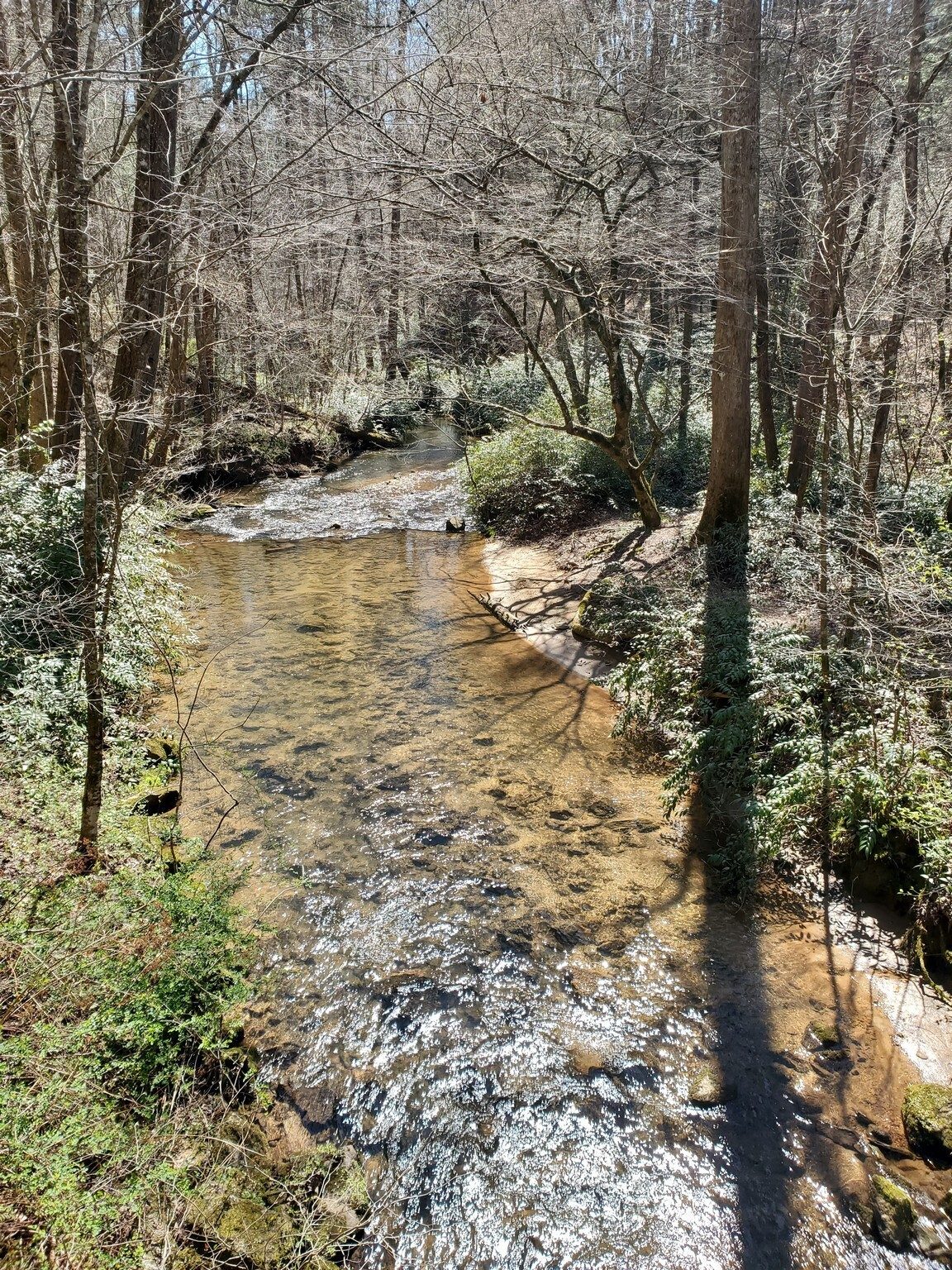 Nice water, however, flowing in Raper Creek under the bridge.  Didn't see any trout.