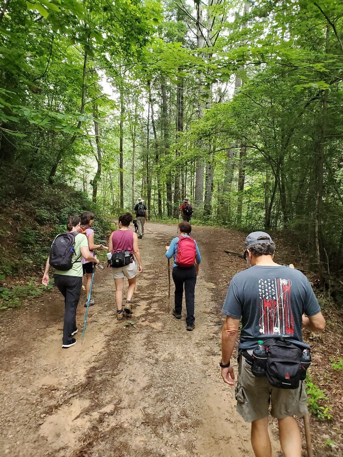 Headed up FS Road 376 to Raper Creek Falls.