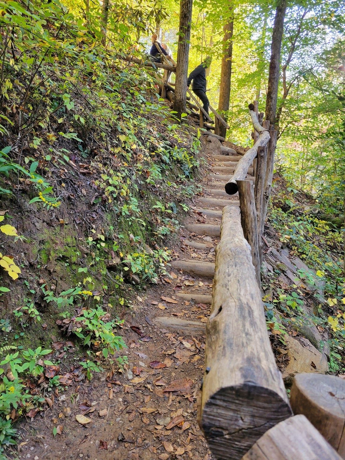 Headed down to just below the third tier of Brasstown Falls.