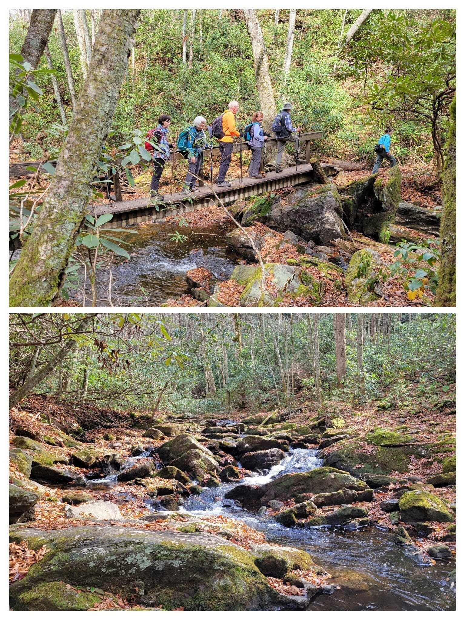 A quick crossing of Hemp Patch Branch to finish the hike.  Good job everyone!