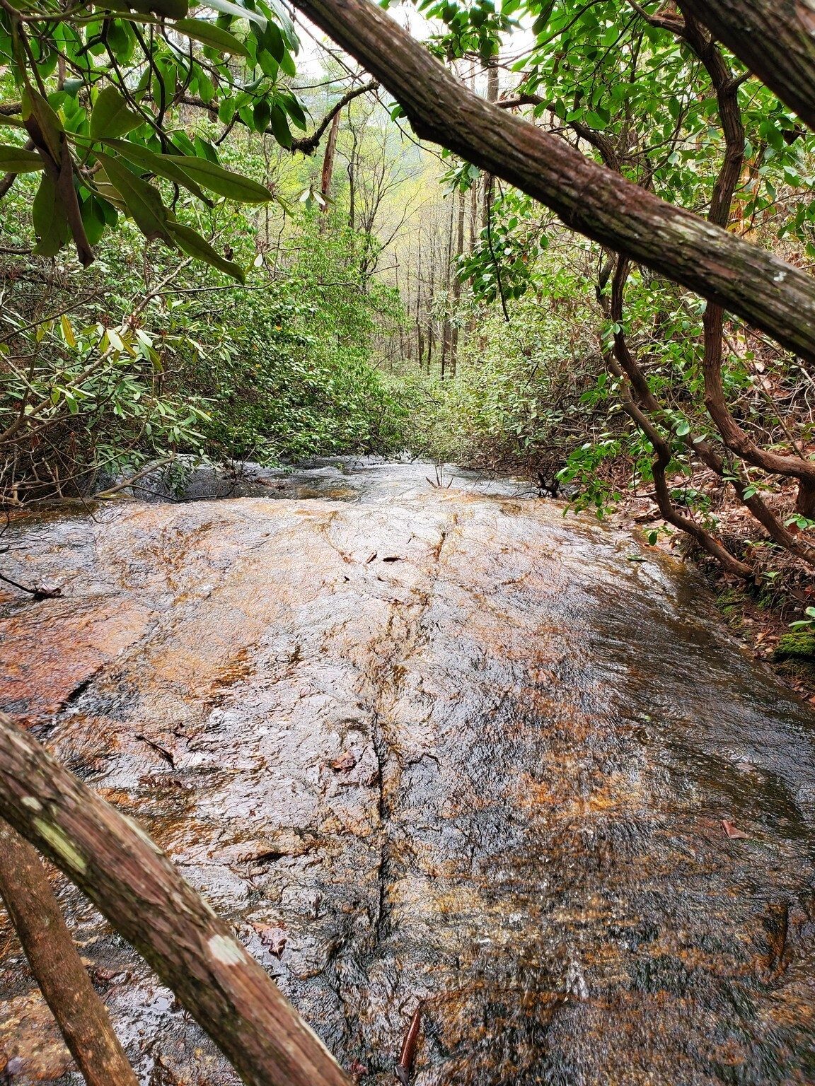 Again another steep slide from below Lower Miuka Falls.