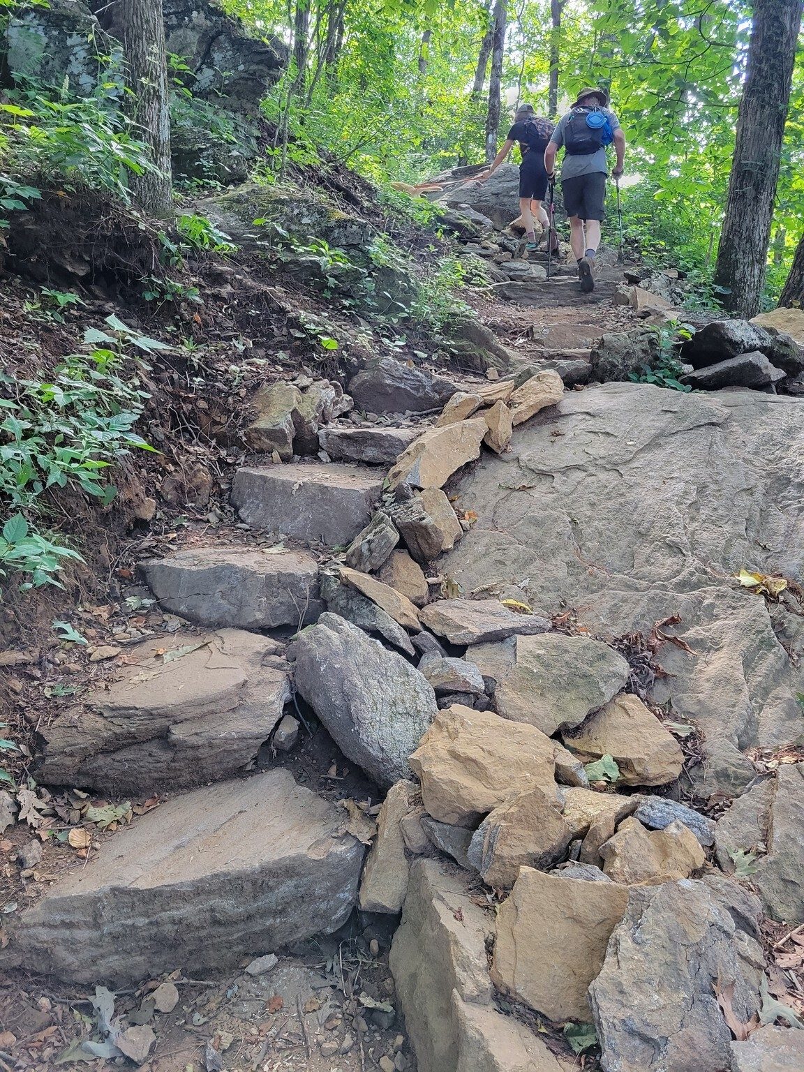 The AT from Woody Gap is nicely maintained as shown by these well constructed stone steps.