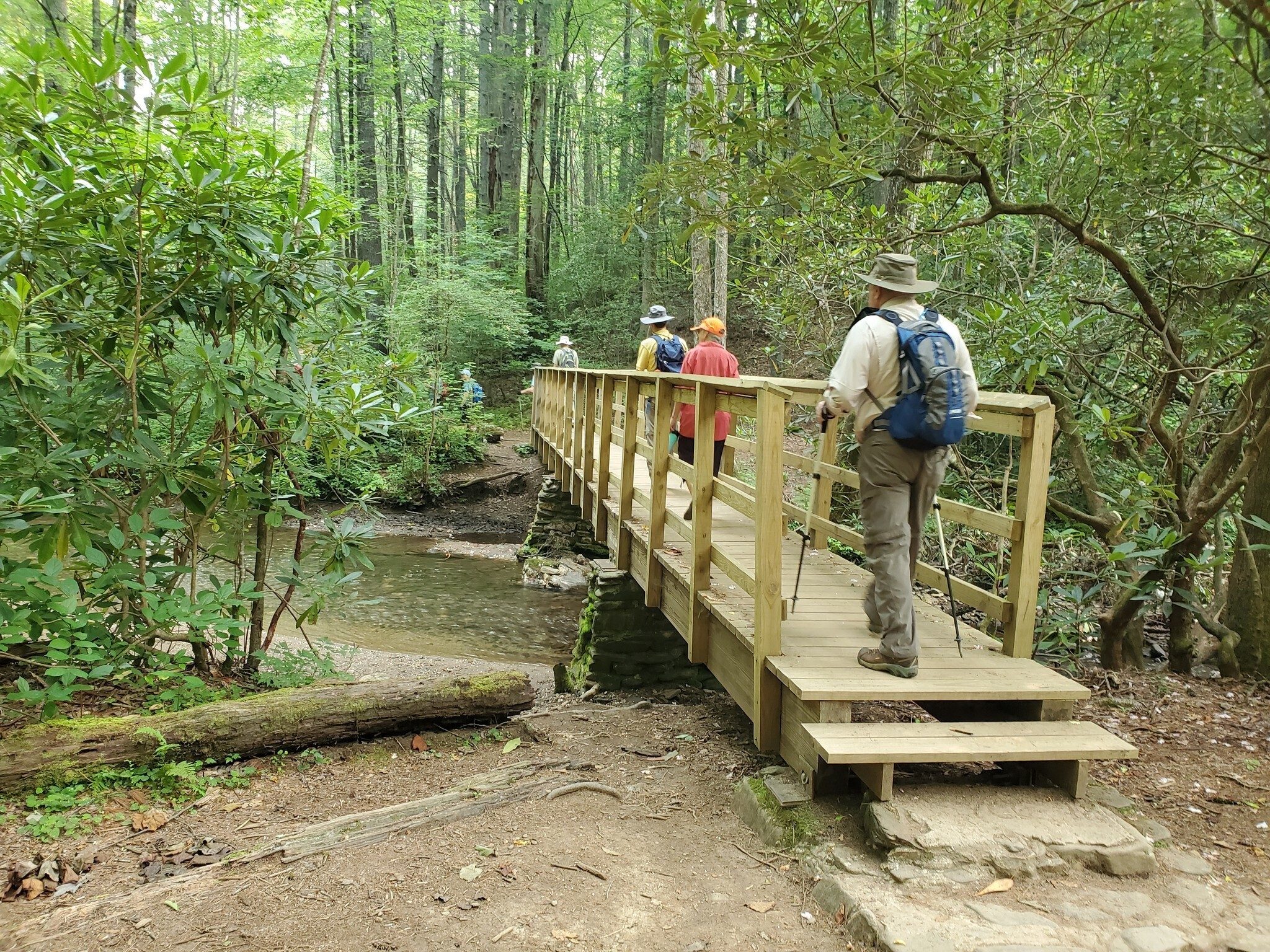 Lots of nice wooden bridges along this trail, especially this one with some very substantial stacked stone supports.