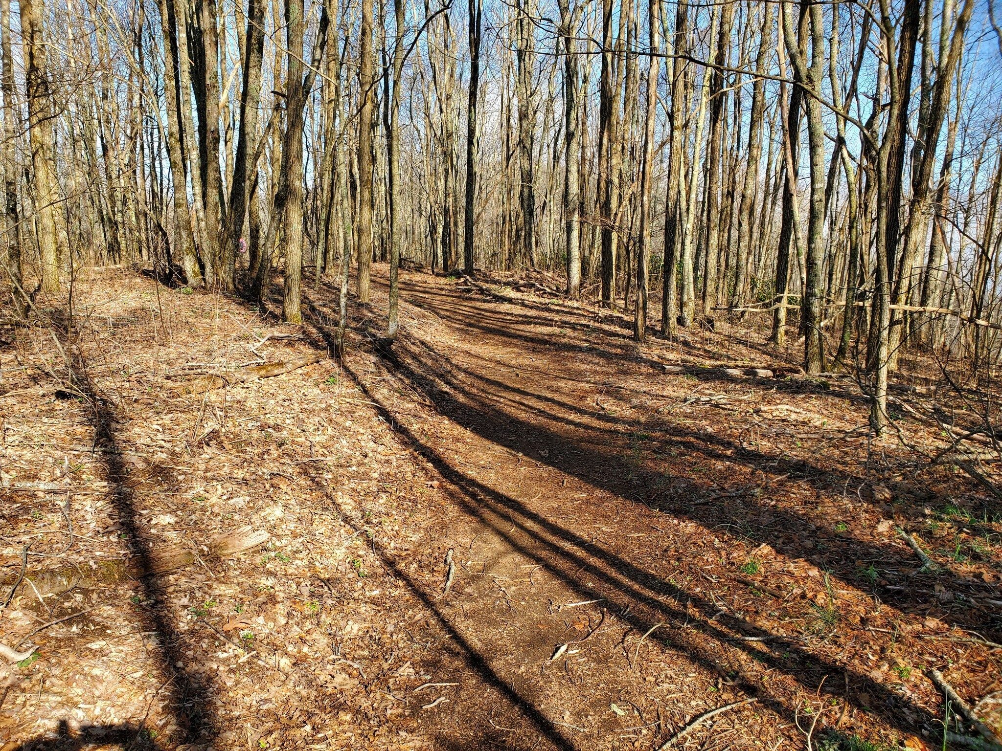 Nice trail at the start, but the trees were not budding out quite yet.
