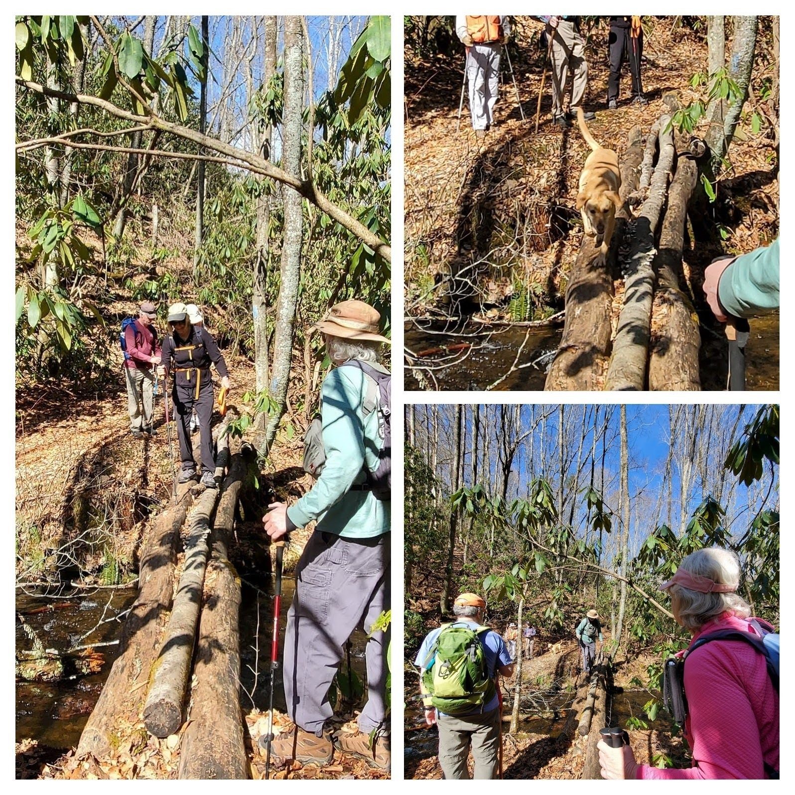This was the most challenging water crossing.  Some chose to take the high path across the logs.