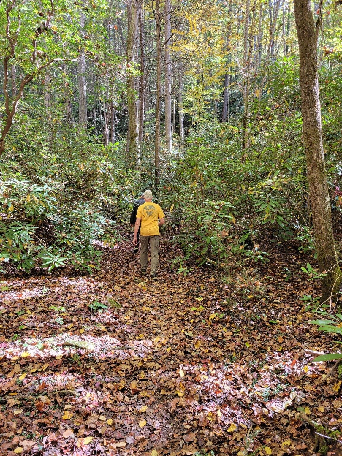 Headed up the trail to Opossum Creek Falls.