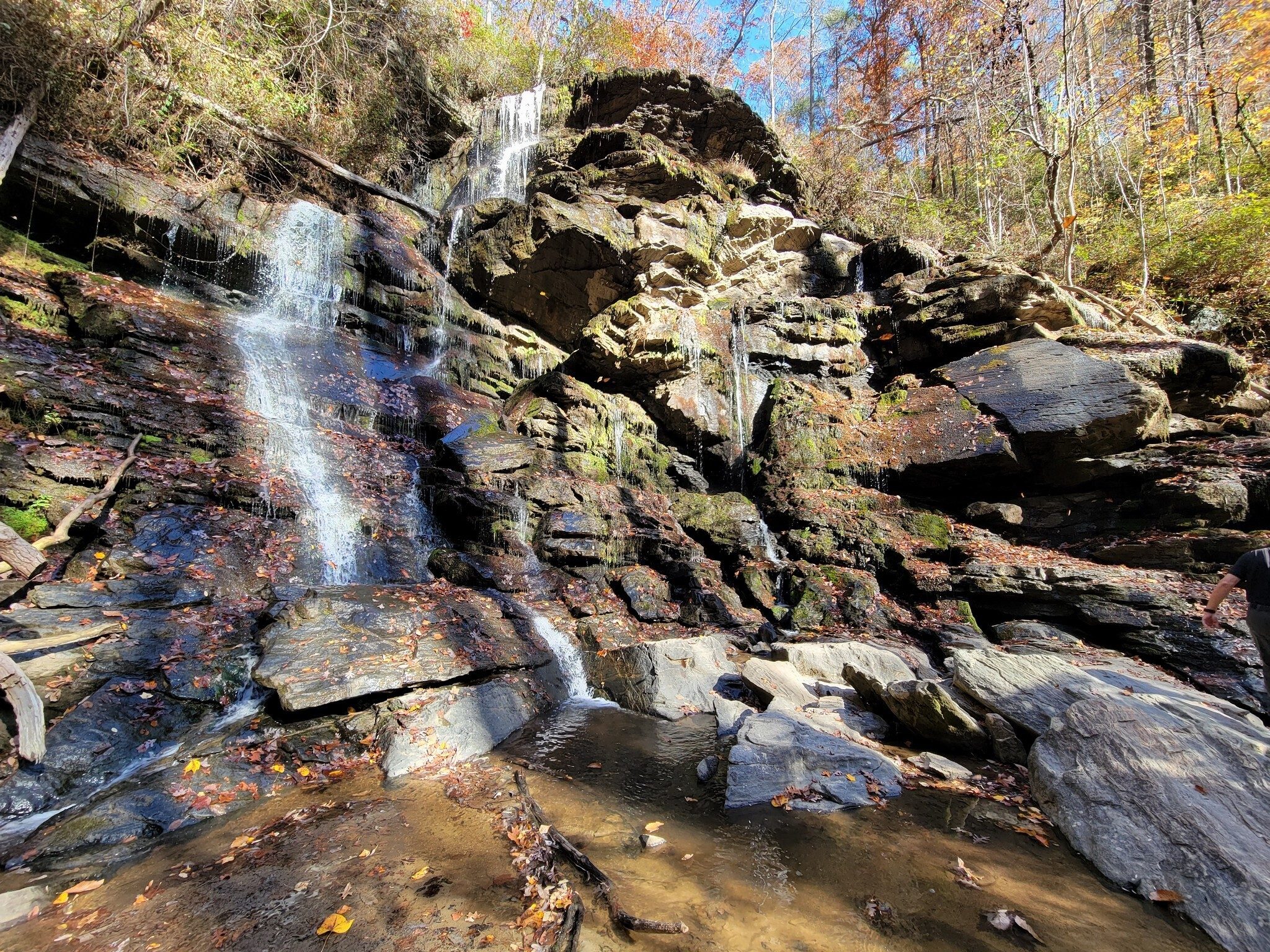 A view of Yellow Branch Falls from across the creek.