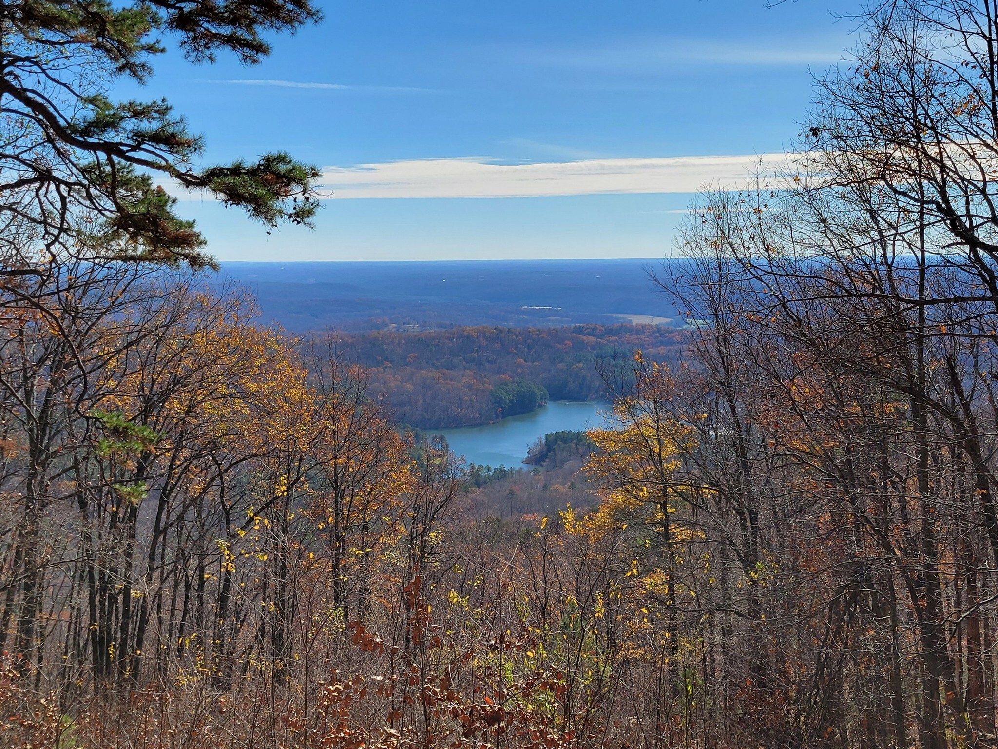 A  beautiful view of Lake Russell from a nearby overlook.