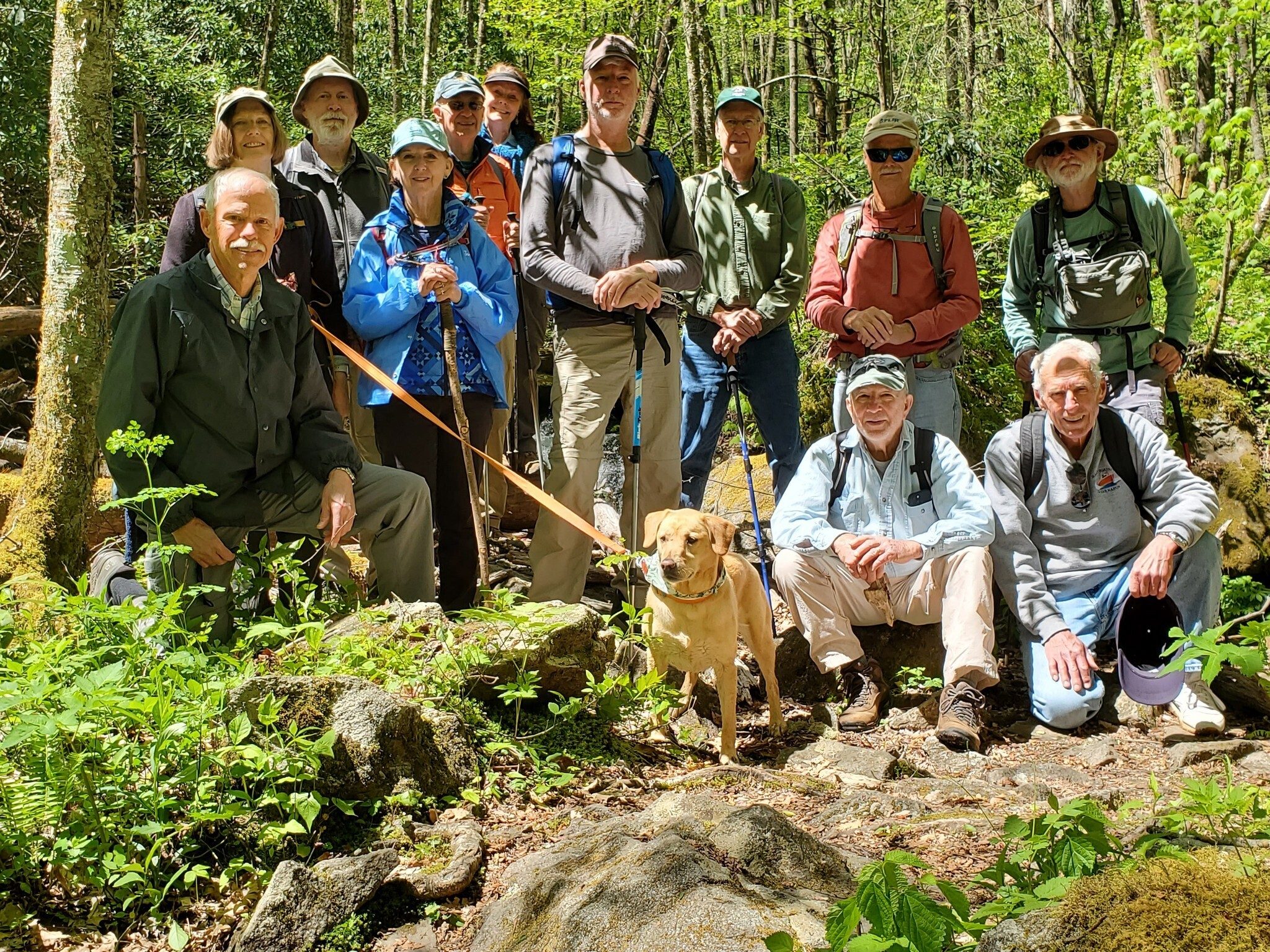 Today's hikers (L-R): Mike, Jane, Rich, Jenny, Ray, Renee, Ken, Edwin, Jim, Vic, Mike Jones, Matt & Squirt in front.