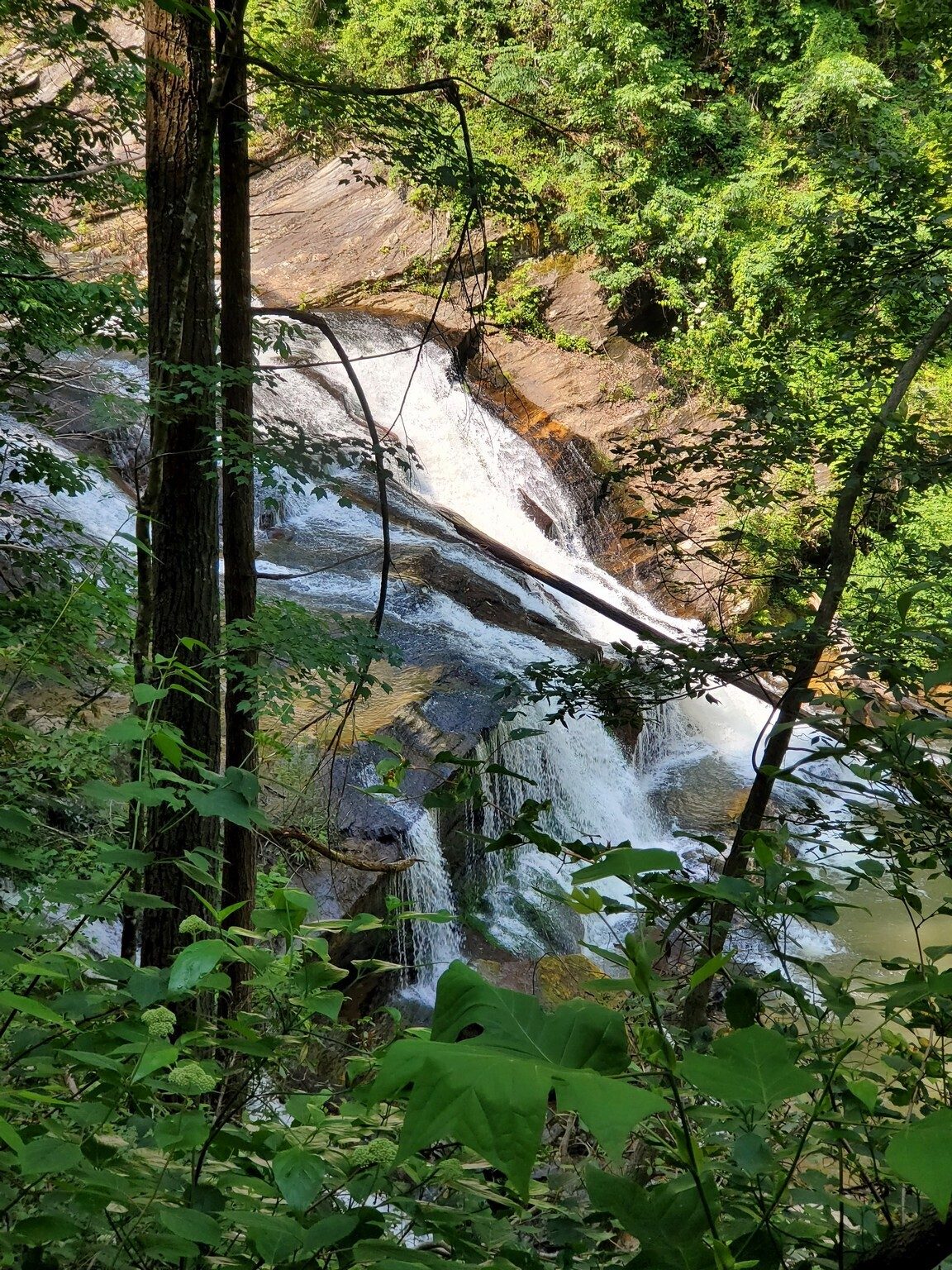 A first view of Panther Creek Falls