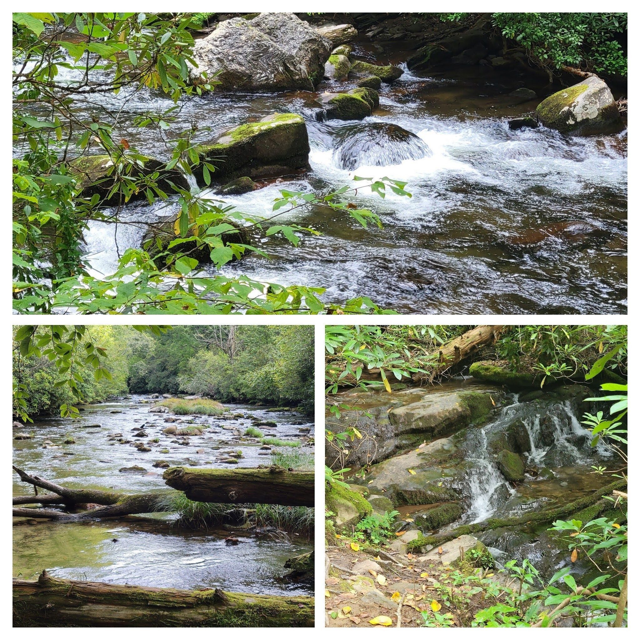 So many large and small water feature along the way . .  with all those nice water sounds, too!