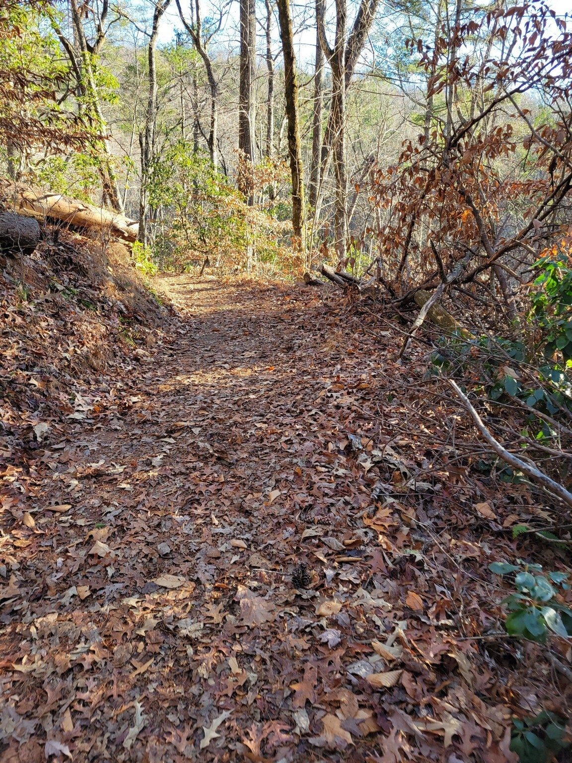 It is a well kept trail.