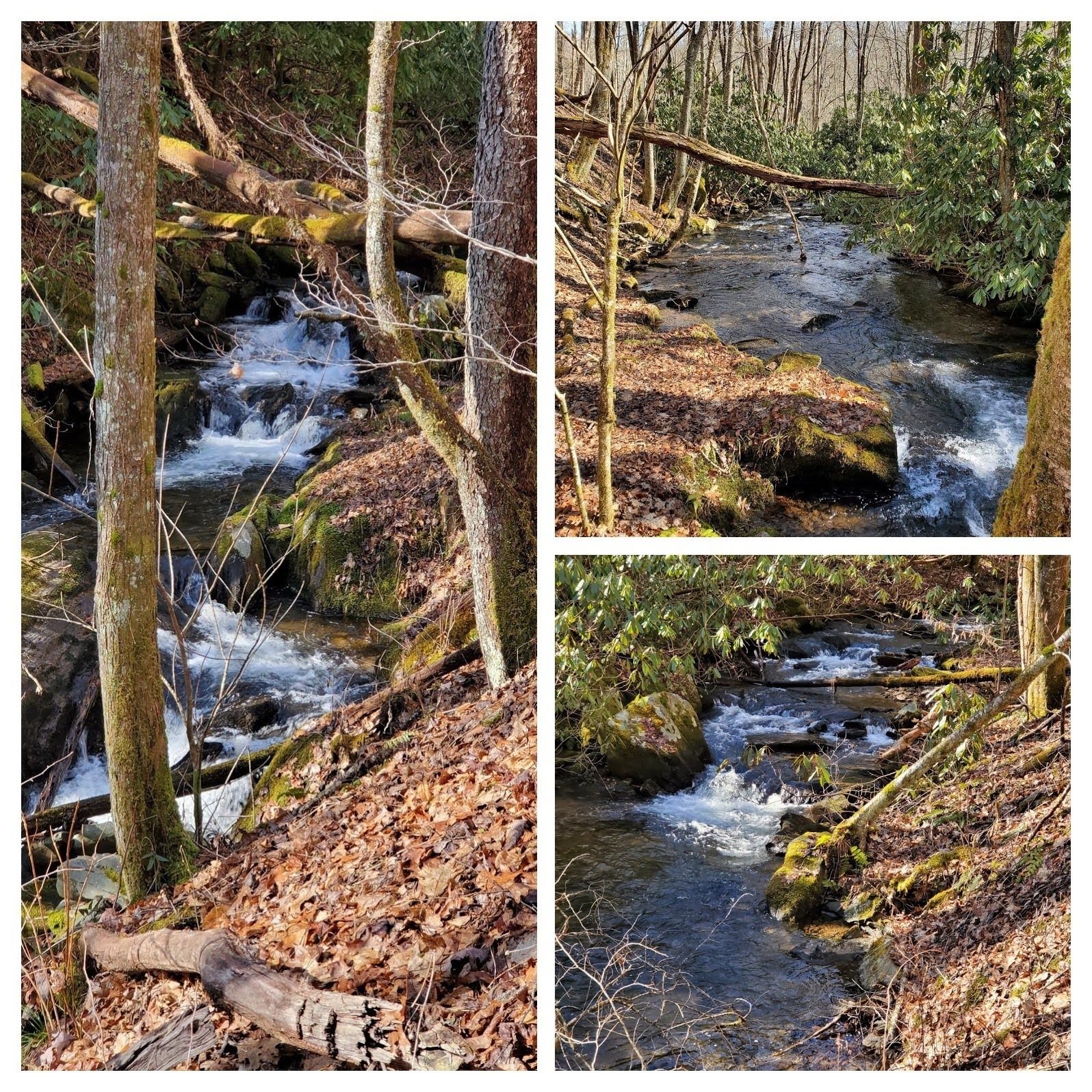 Scenes of Park Creek for the next mile or so.
