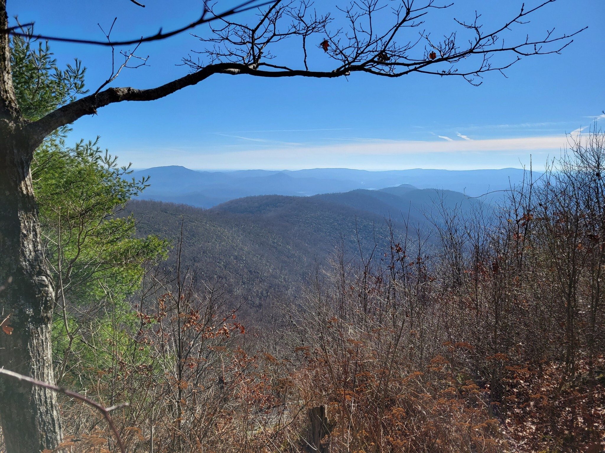 A beautiful view from the vista at 2.8 miles
