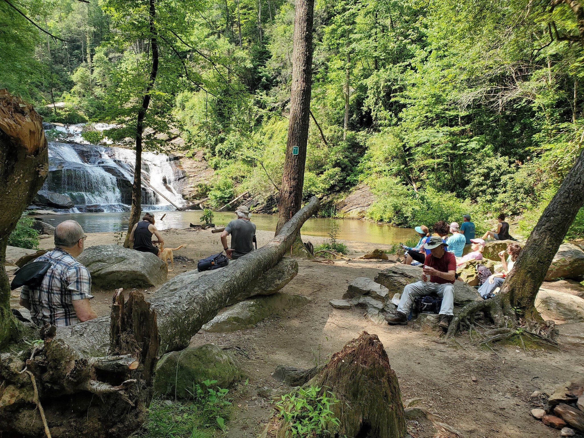 Break time by Panther Creek Falls