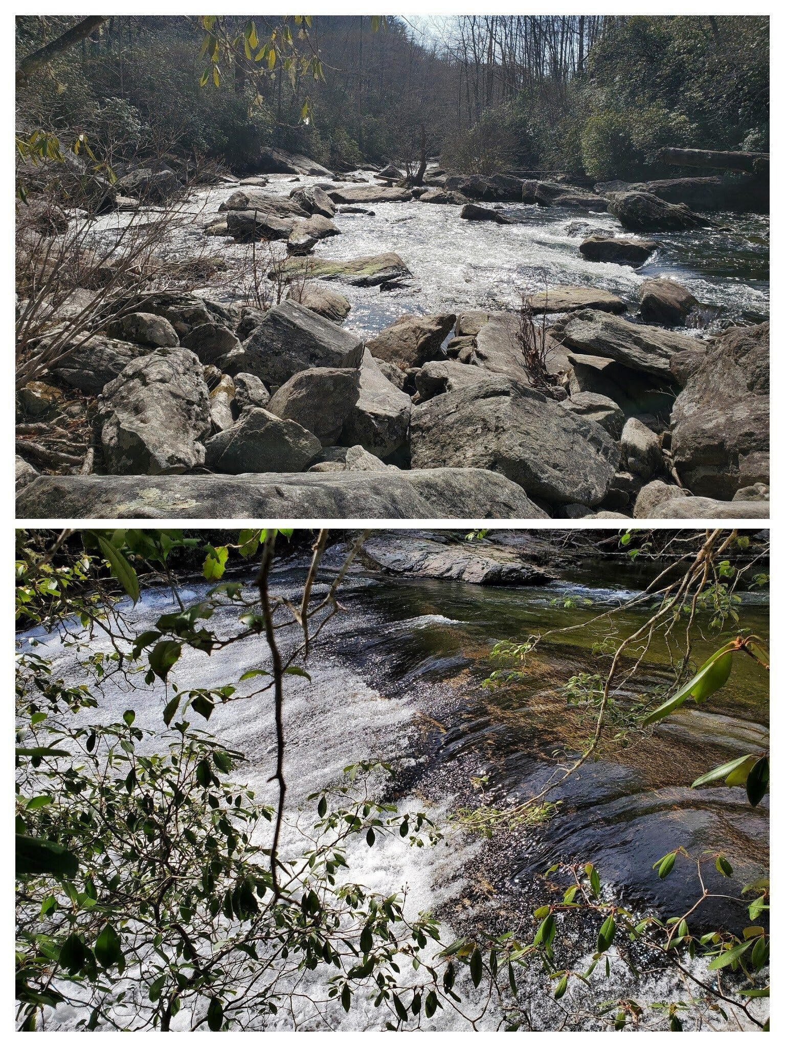 Views from the top of Staircase Falls along Horsepasture River.