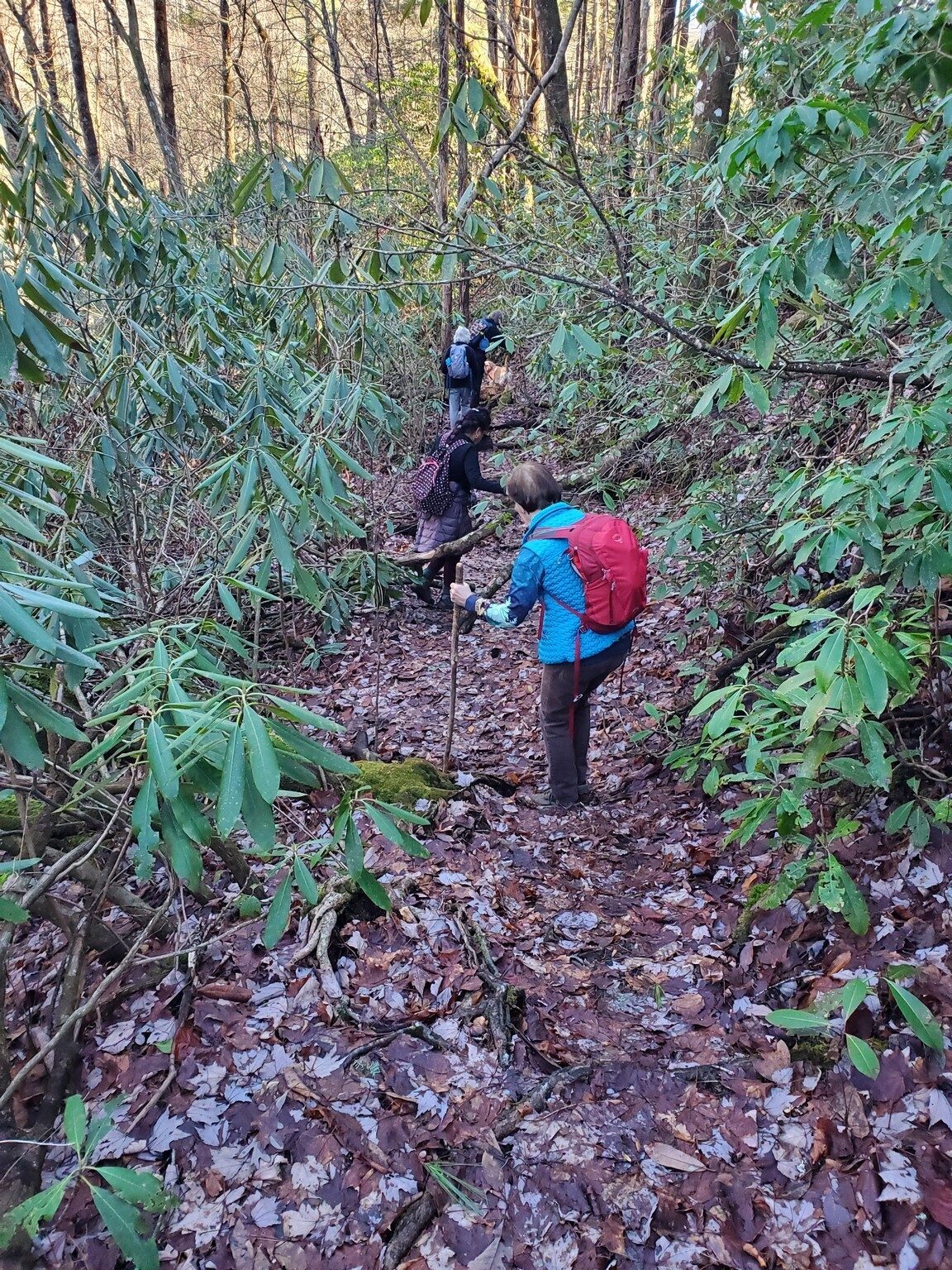 Our lady hikers making their way through some low branches  as we approached the trail along the Whitewater River.