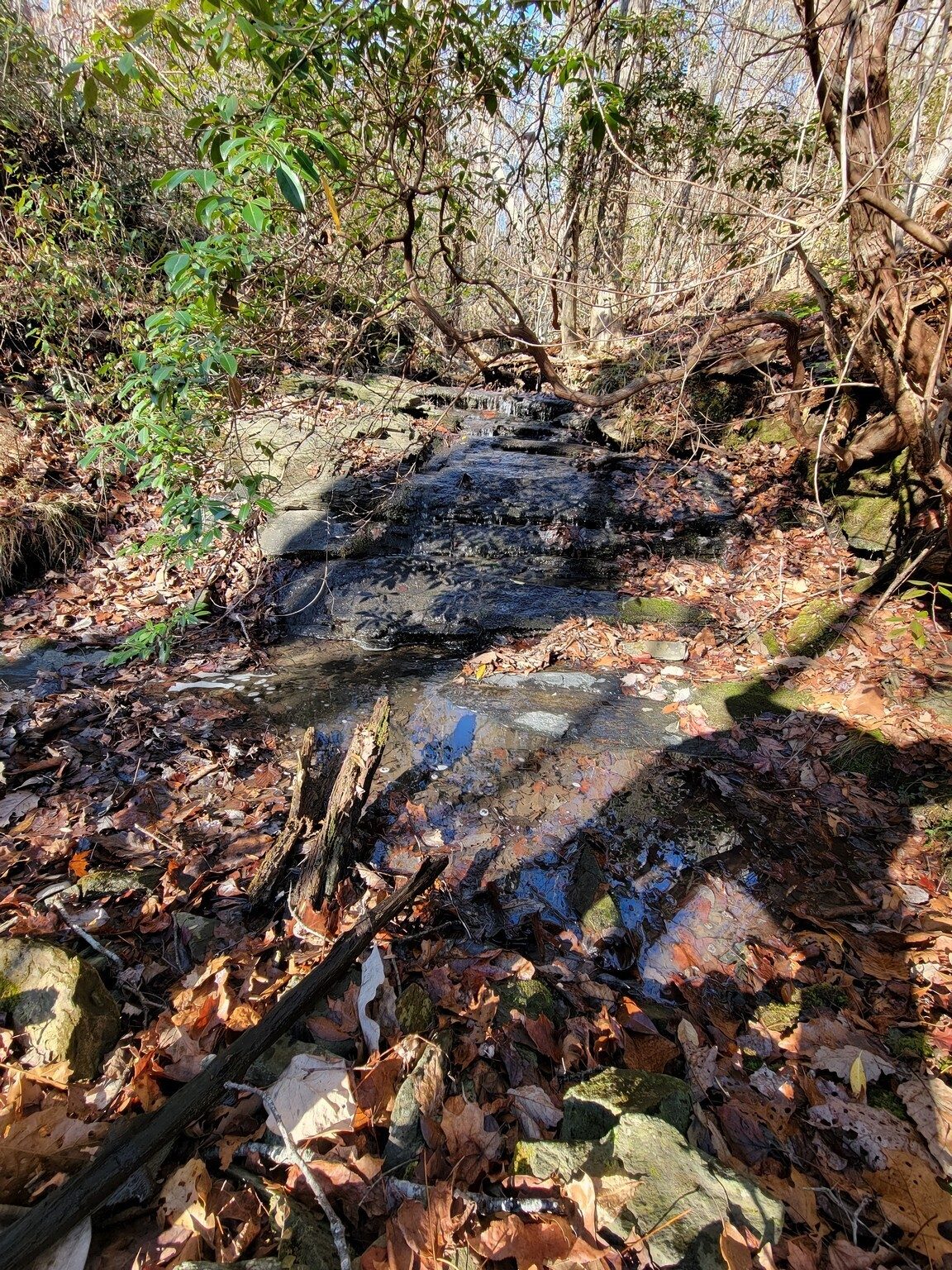 Roughshot Falls, doesn't look like much, but it was a booger to get to.