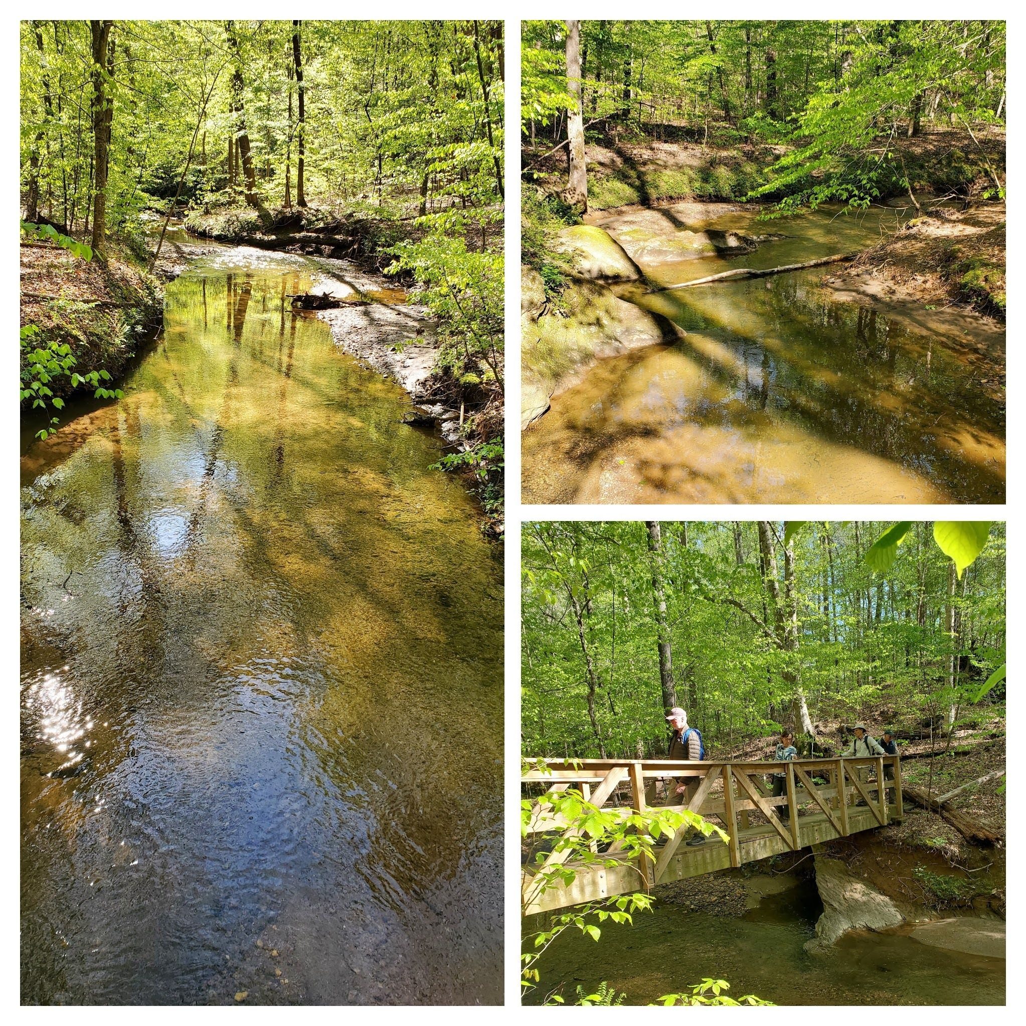 A view of an unnamed tributary to Walnut Creek and one of many bridges.  No wet crossing on this hike.