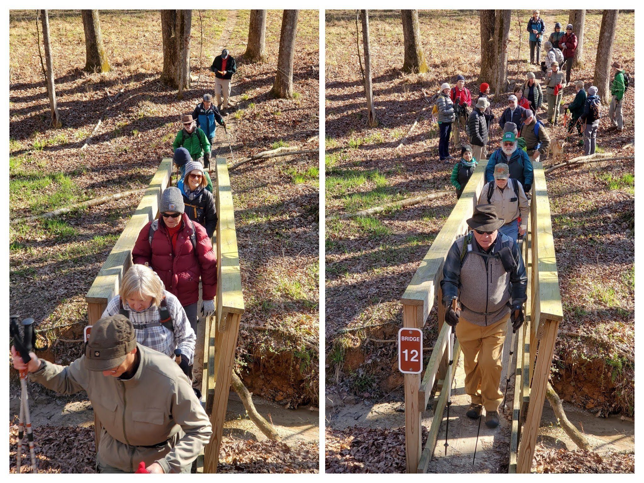 Interesting bridges throughout the hike, very narrow and high railing.