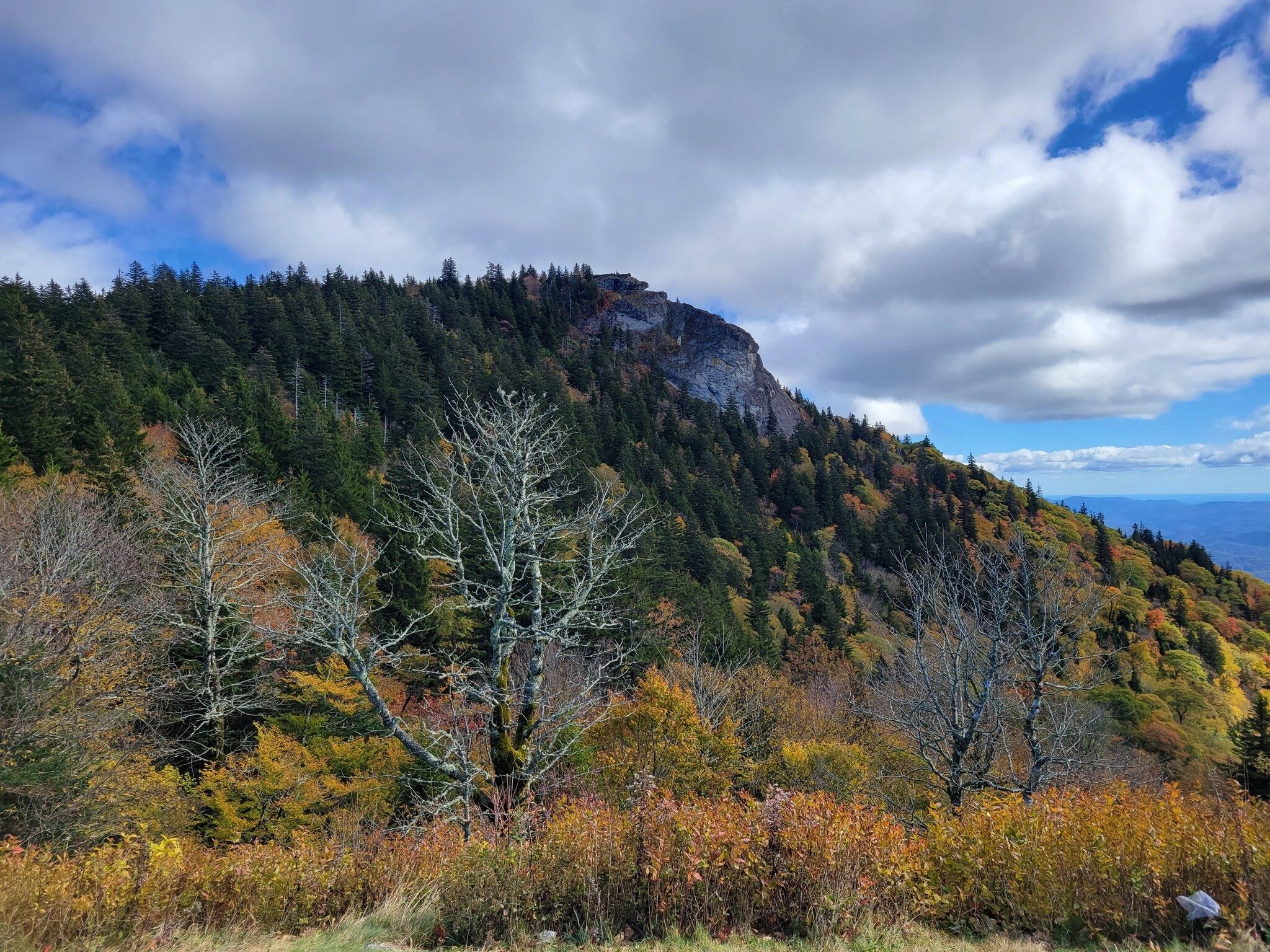 And here's where we are headed.  Pic taken from trailhead.  Look, no fog!