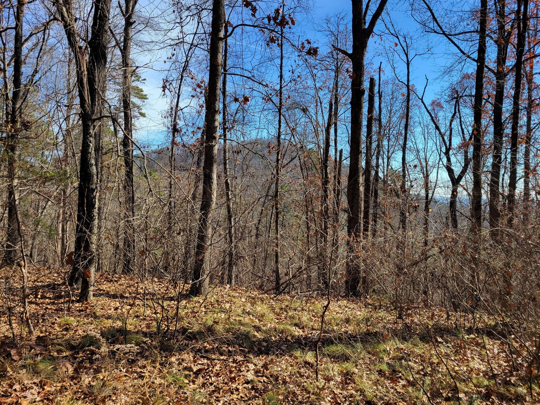 A view of Currahee Mountain toward the finish of the hike.