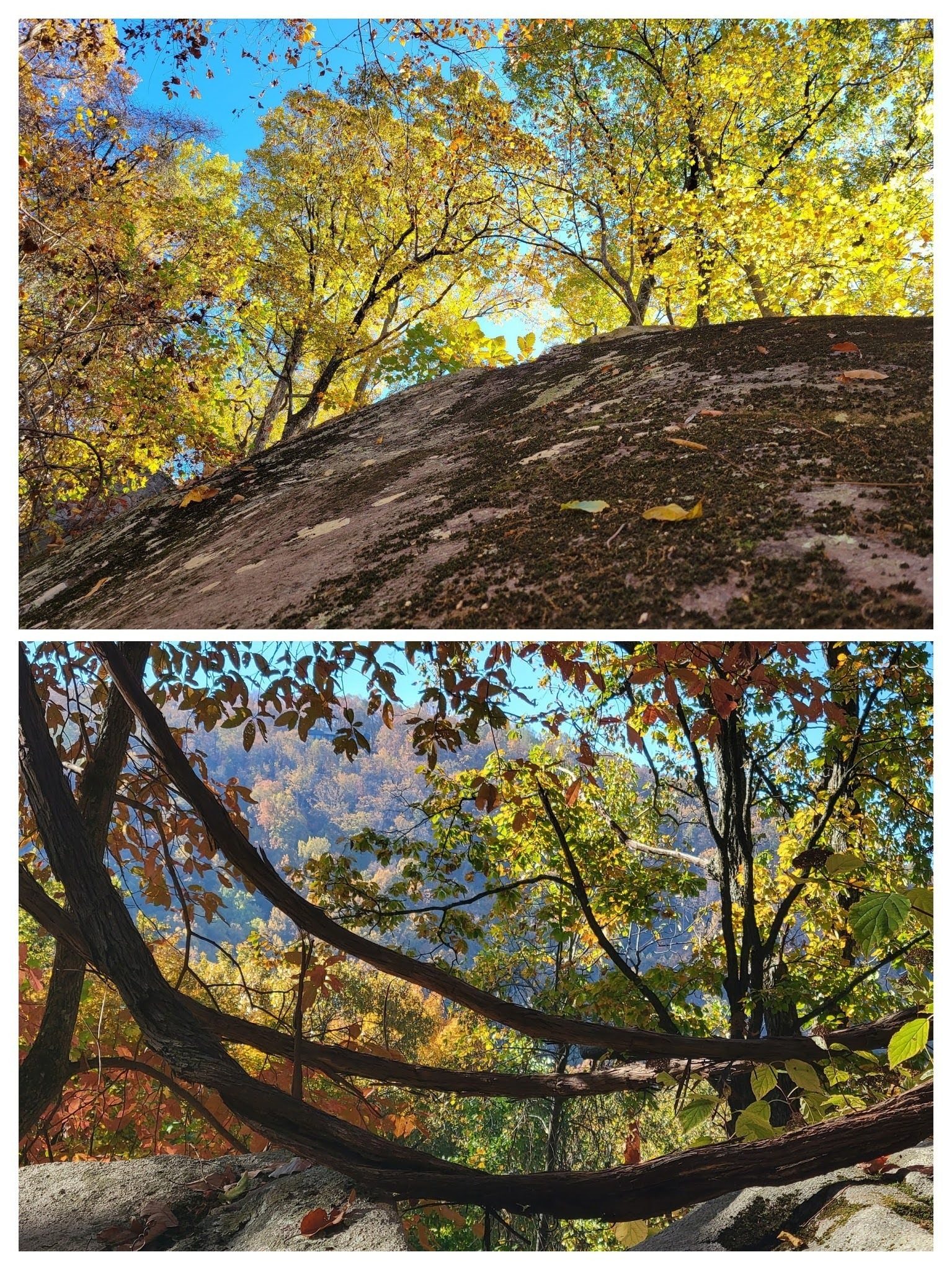 But if you can take the time to look up or through the canopy, there are sights that make the less than great trail worth the effort.