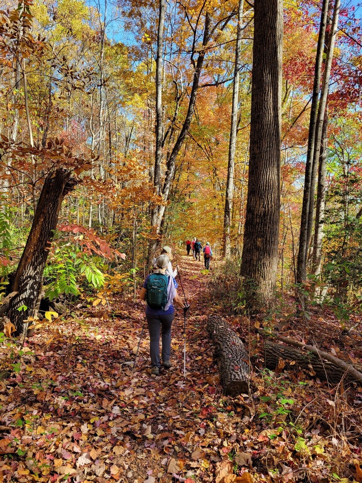 The Blue Ridge Railroad Historical Trail is really quite nice.