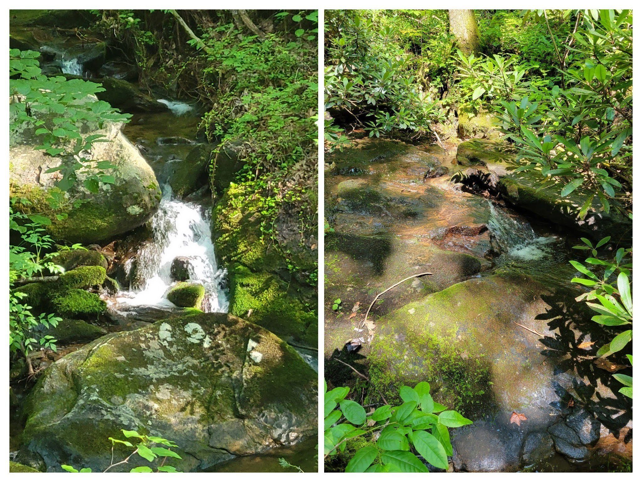 The path parallels Burnett Branch and Wolf Creek in several sections.